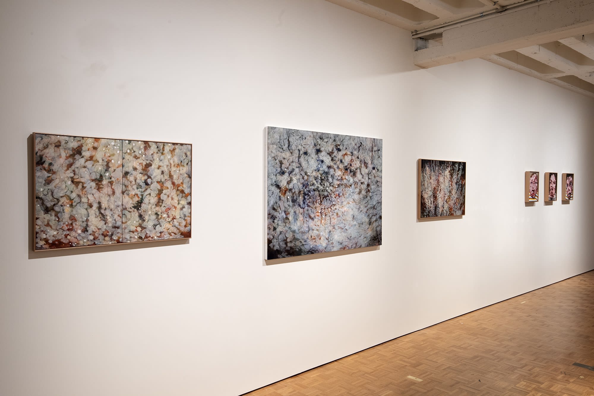 Explore Sydney Contemporary 2021