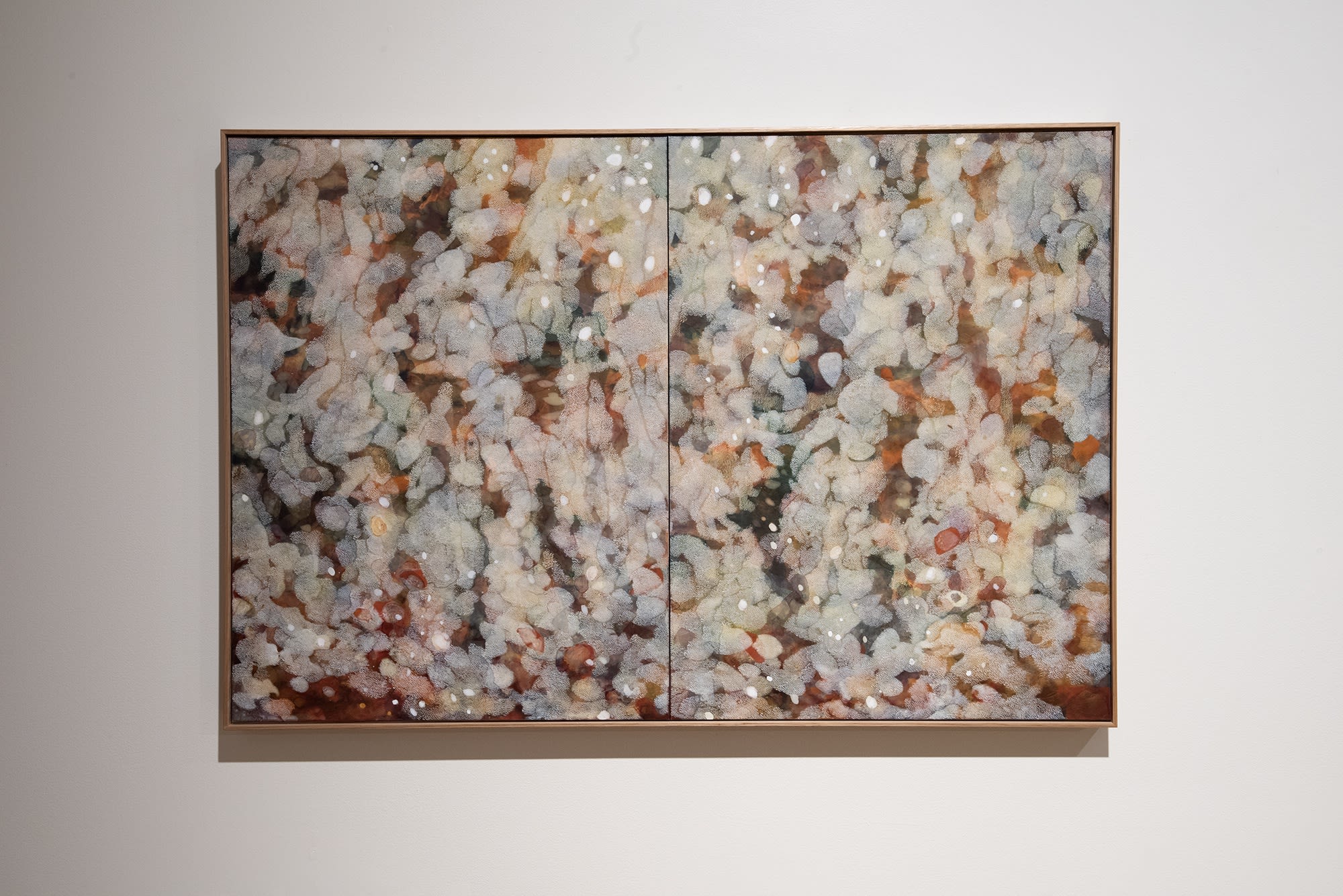 Explore Sydney Contemporary 2021