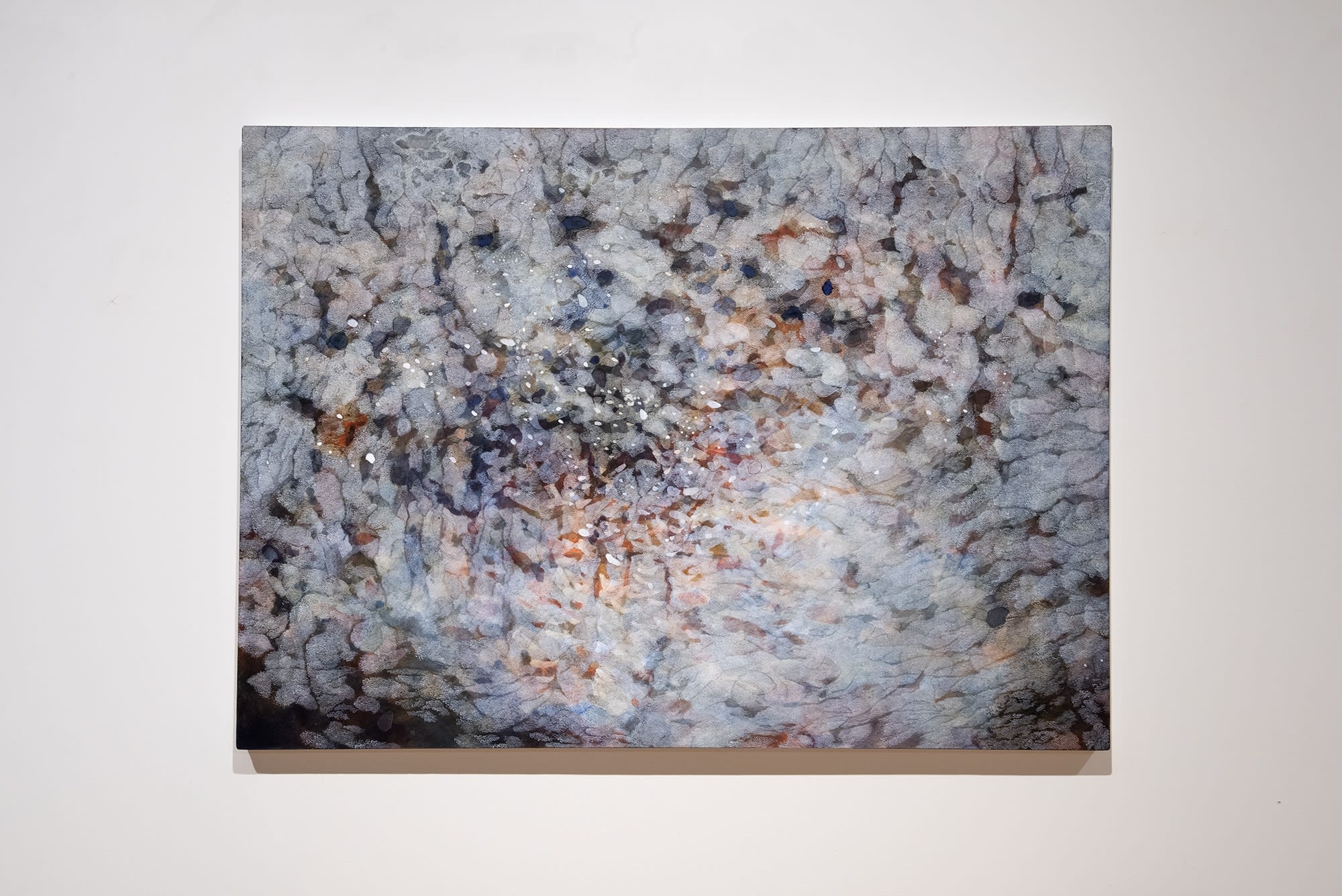 Explore Sydney Contemporary 2021