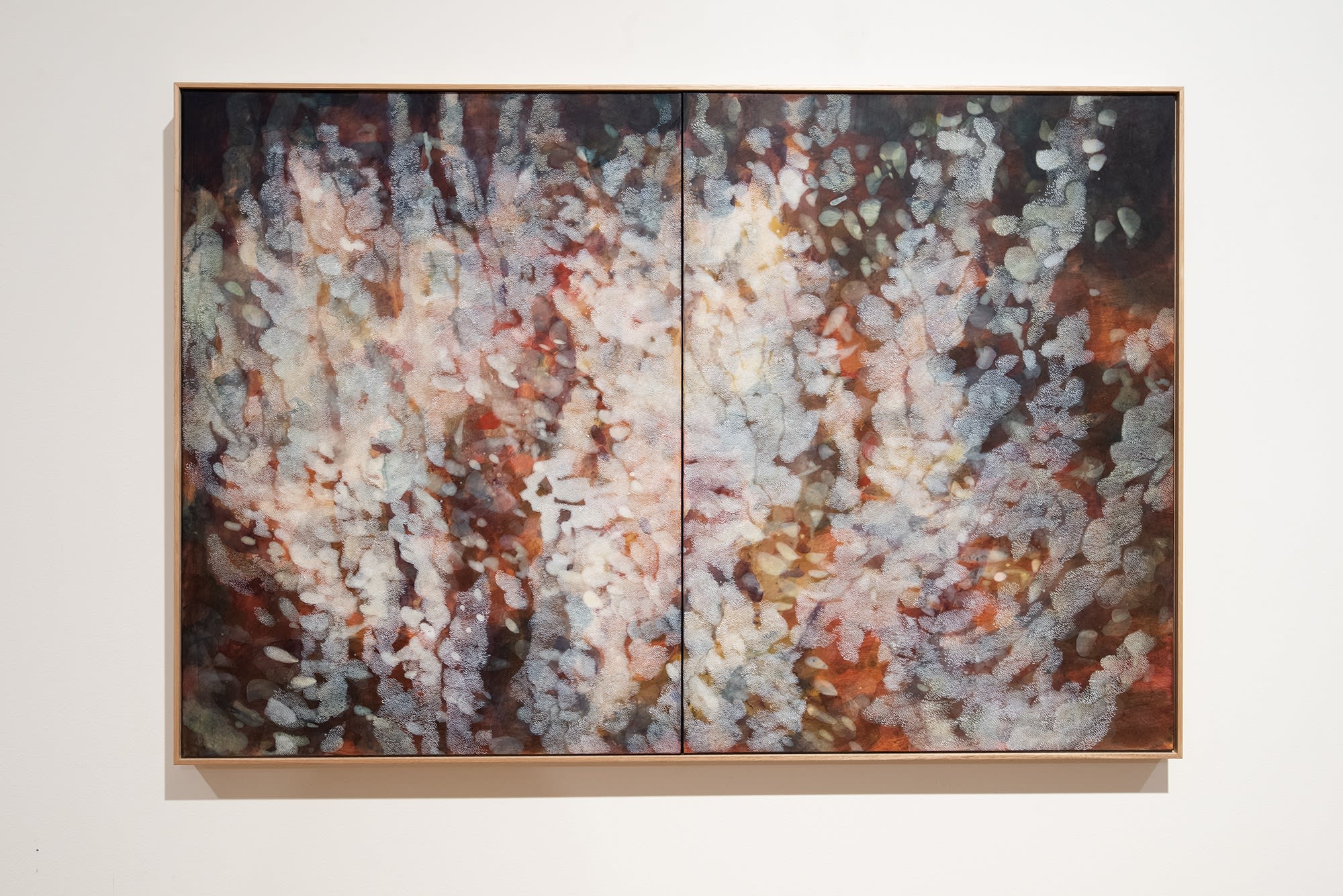 Explore Sydney Contemporary 2021