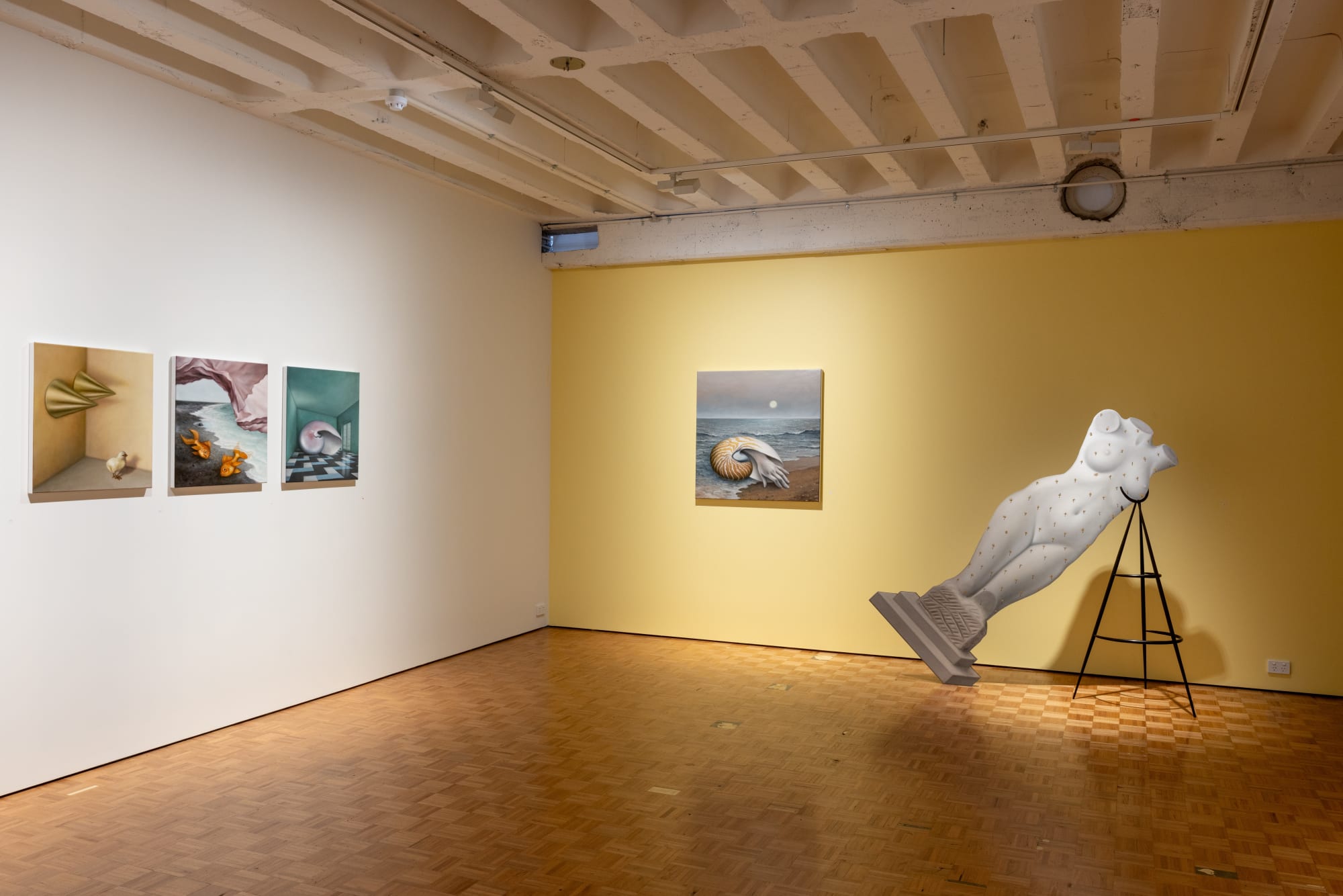 AMBER KOROLUK-STEPHENSON