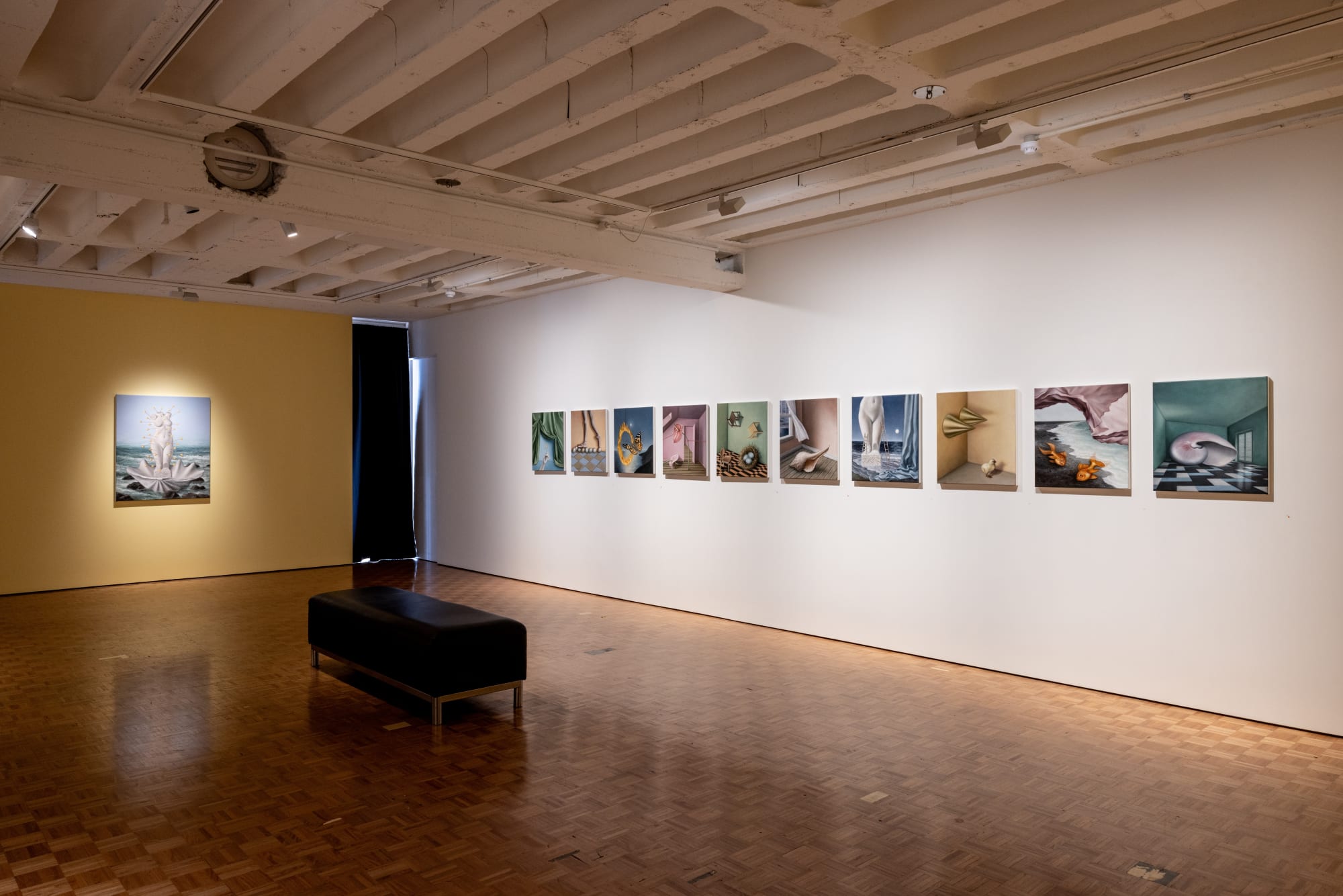 AMBER KOROLUK-STEPHENSON