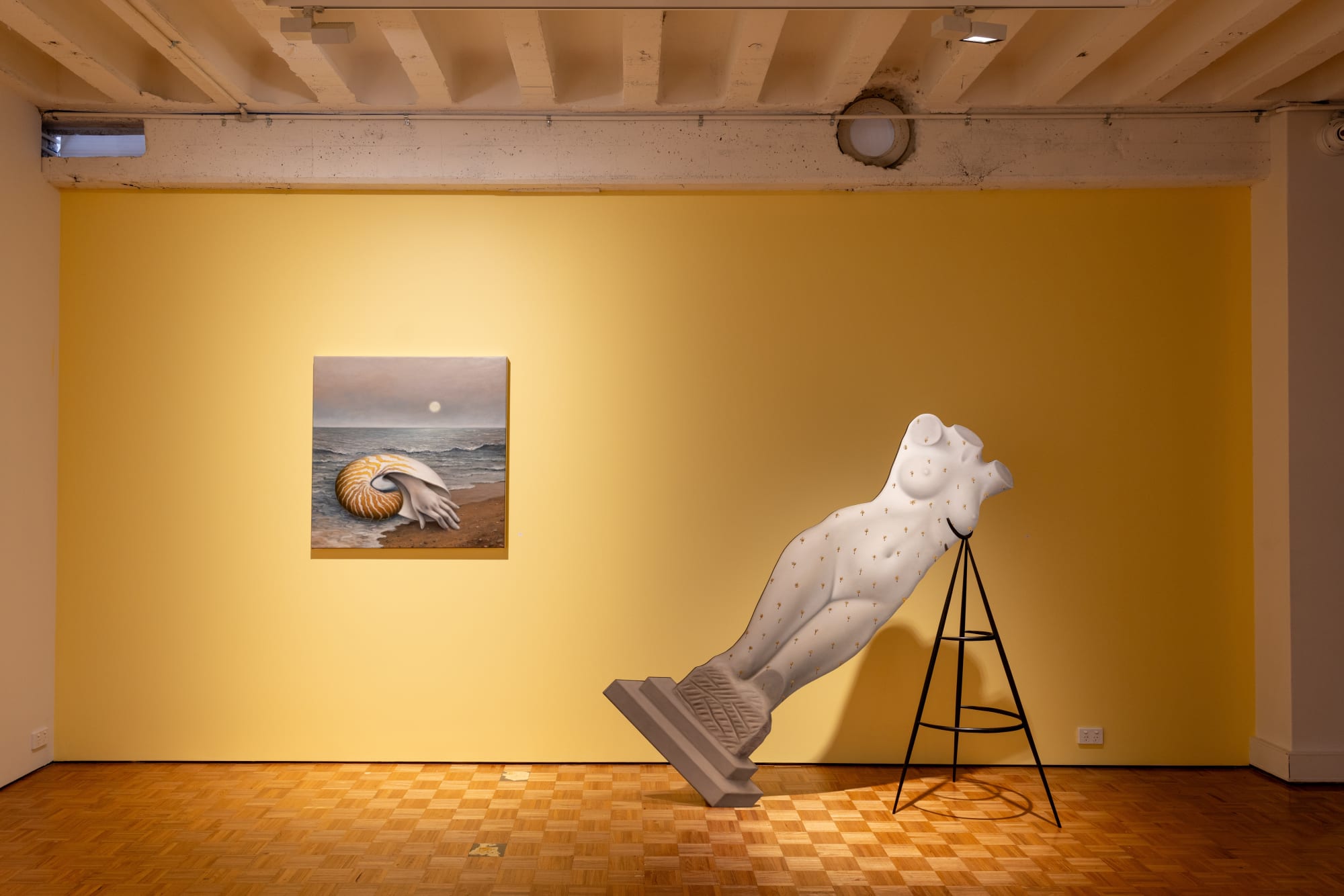 AMBER KOROLUK-STEPHENSON