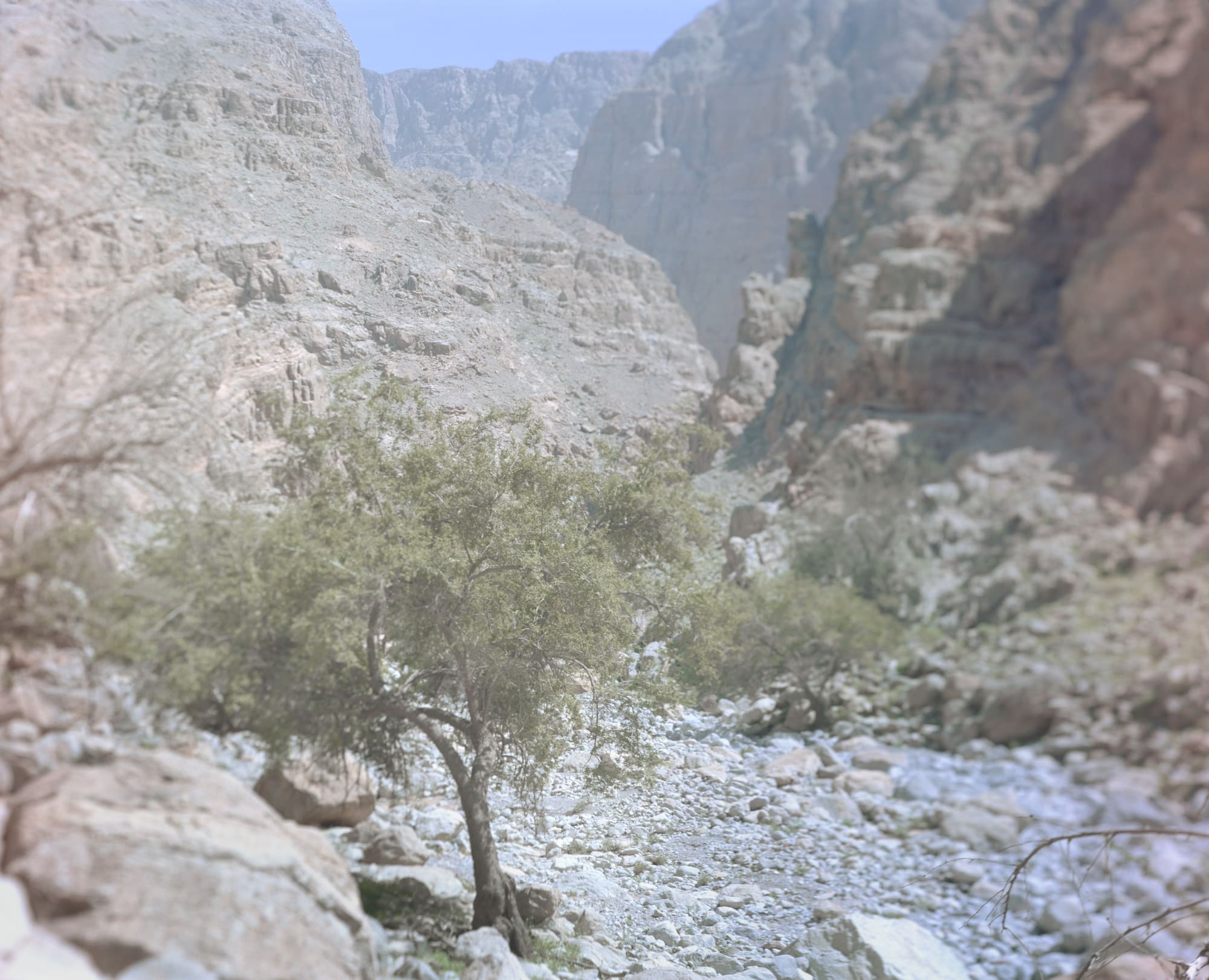 3٣ From the series Hala, 2015-2017 Archival pigment print on Hahnemuhle etching paper