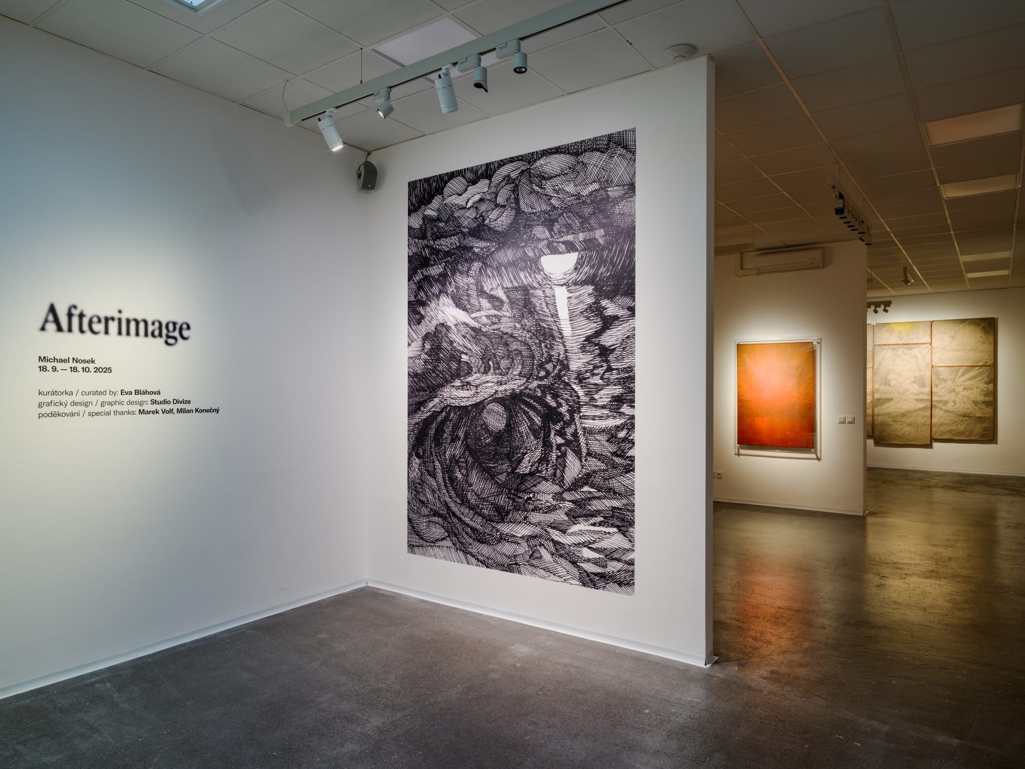 Michael Nosek - Afterimage