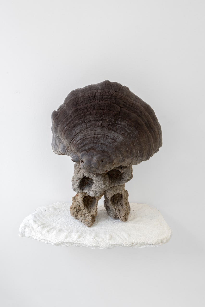 MORTEN PLESNER - ATOLL