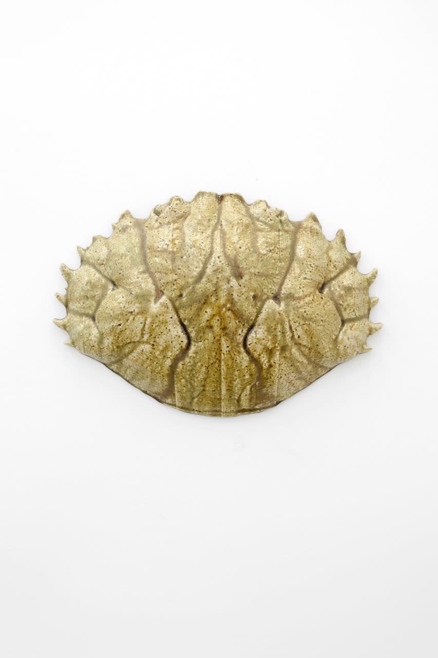 MORTEN PLESNER - ATOLL