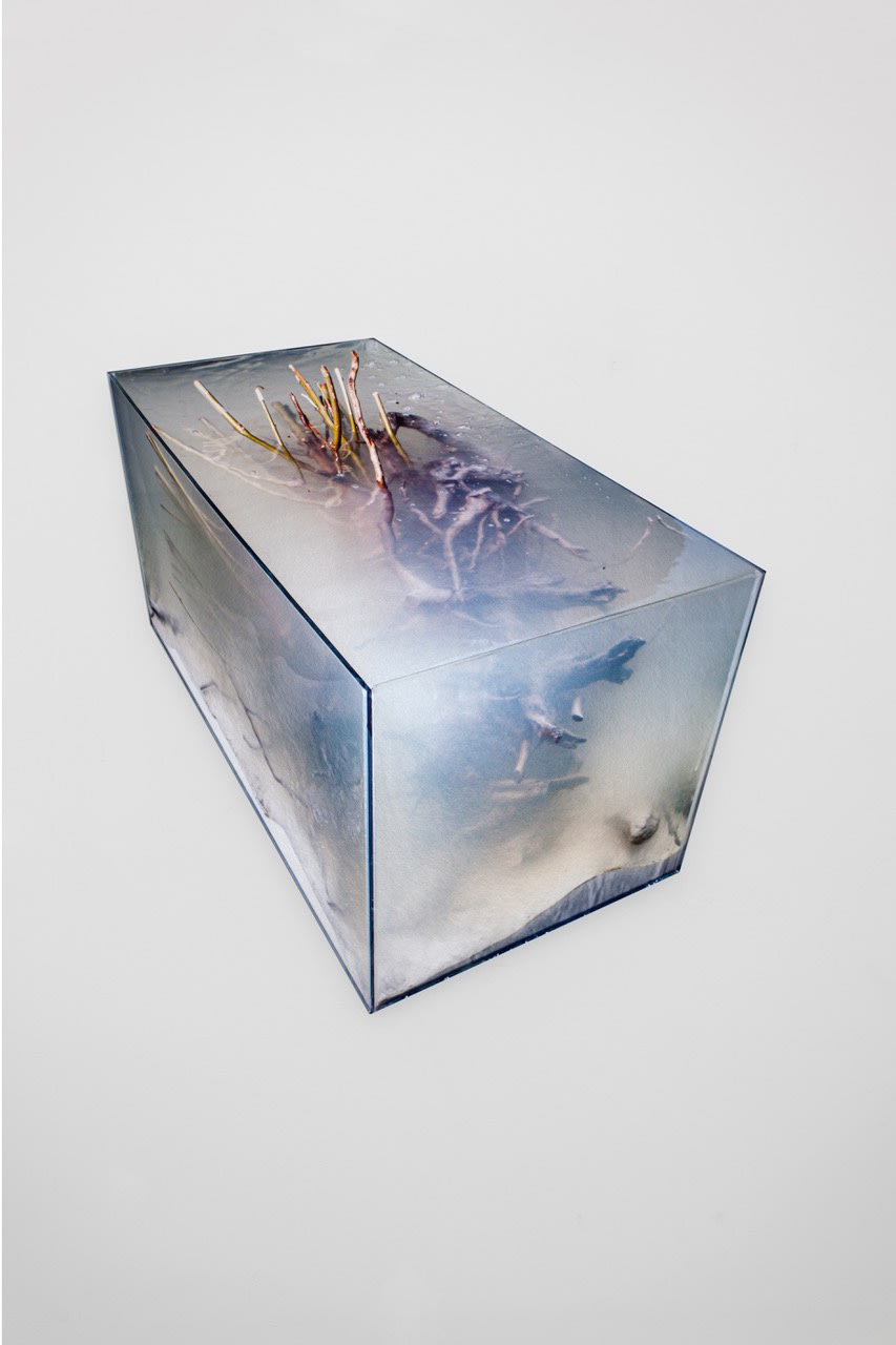 MORTEN PLESNER - ATOLL