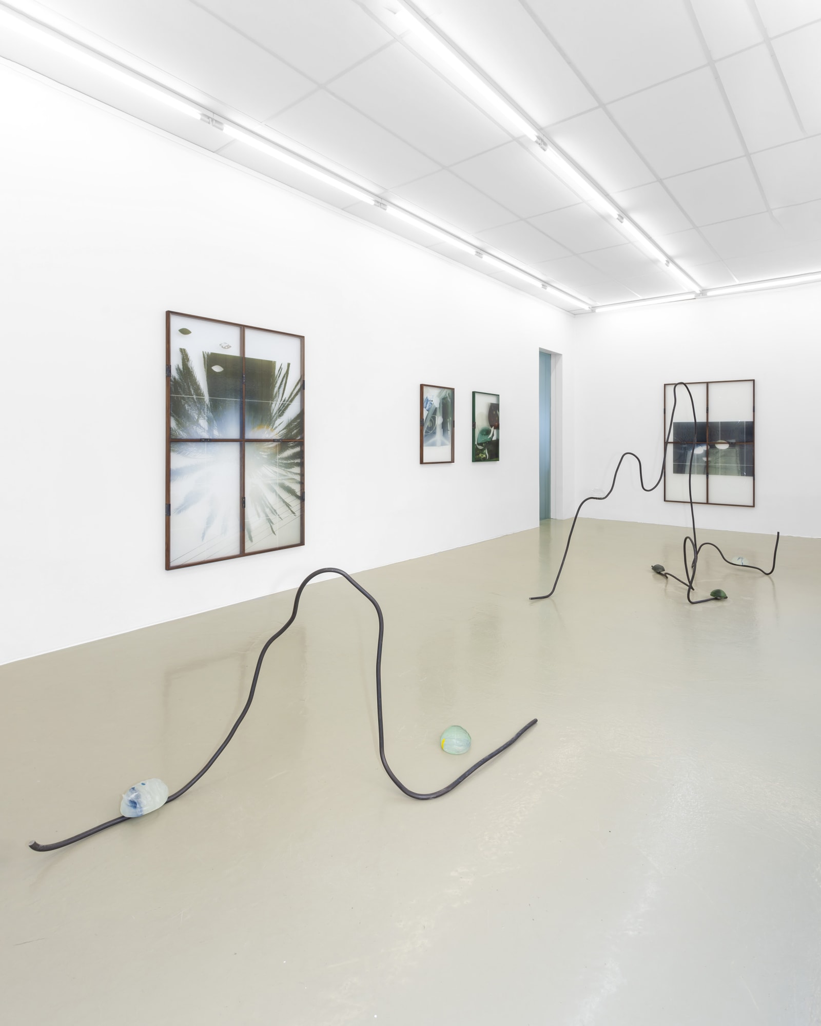 MATILDE DUUS - THE INVERTED IMAGE