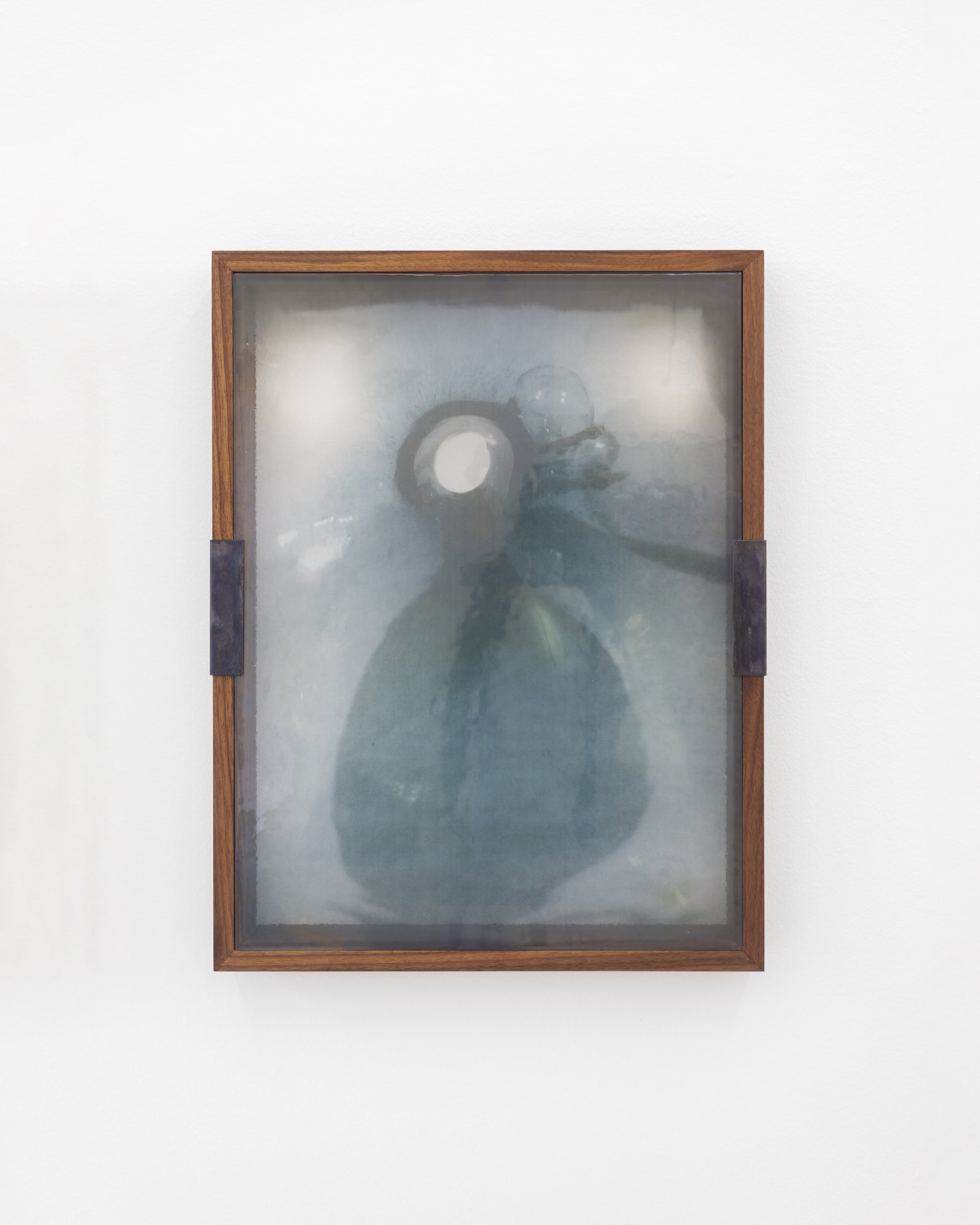 MATILDE DUUS - THE INVERTED IMAGE