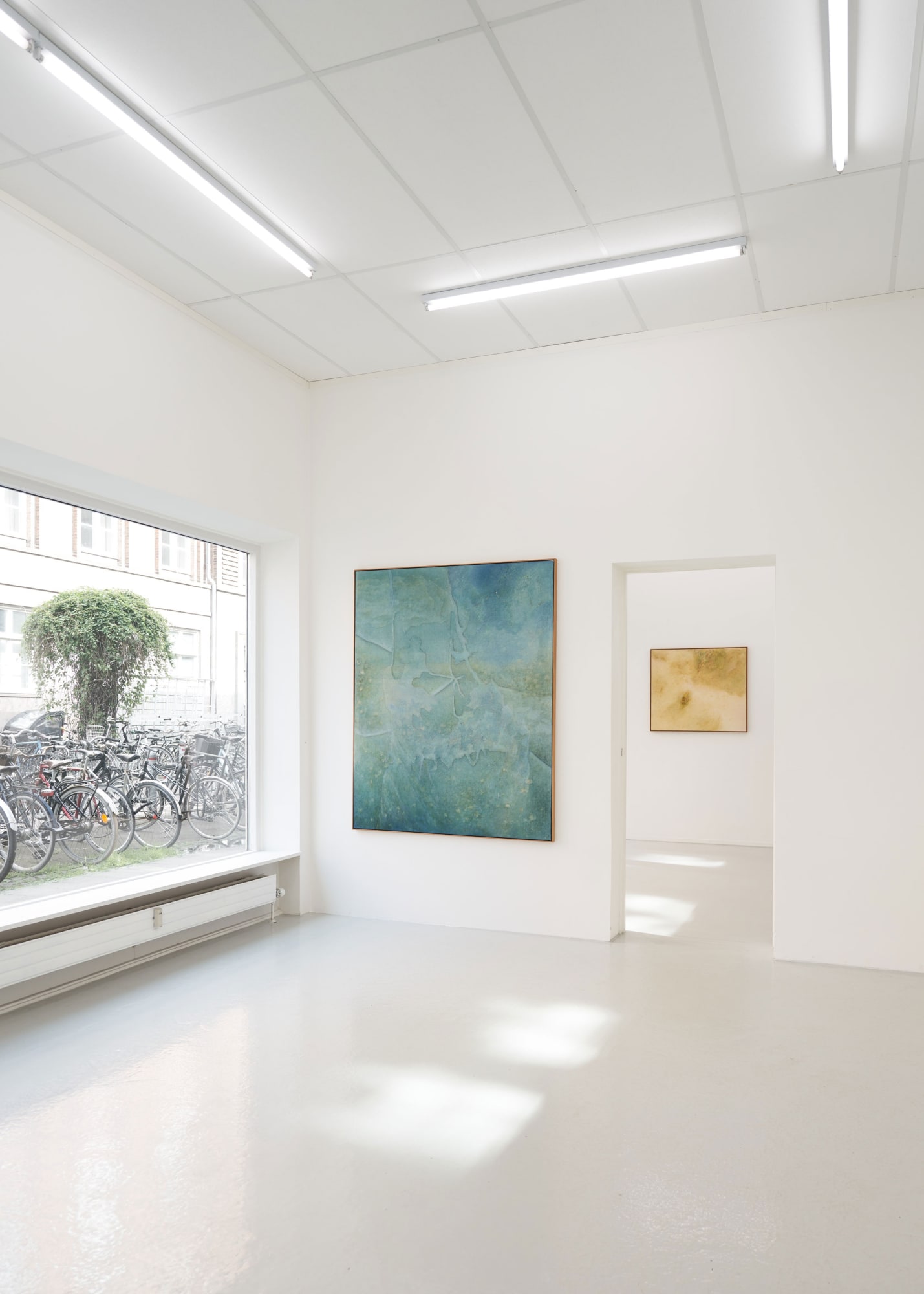 Jon Erik Nyholm | Verdant Fade