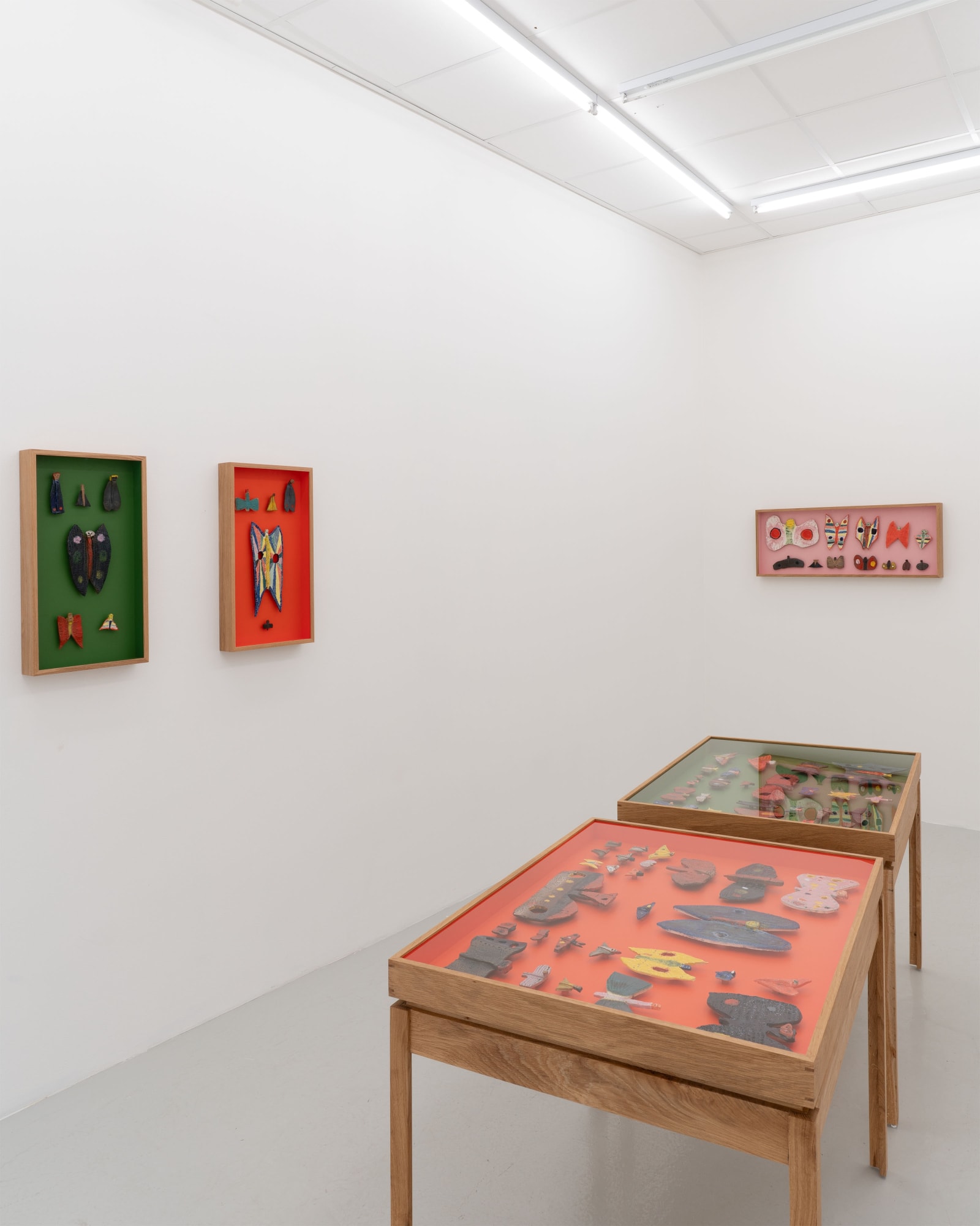 Sune Christiansen | Arter