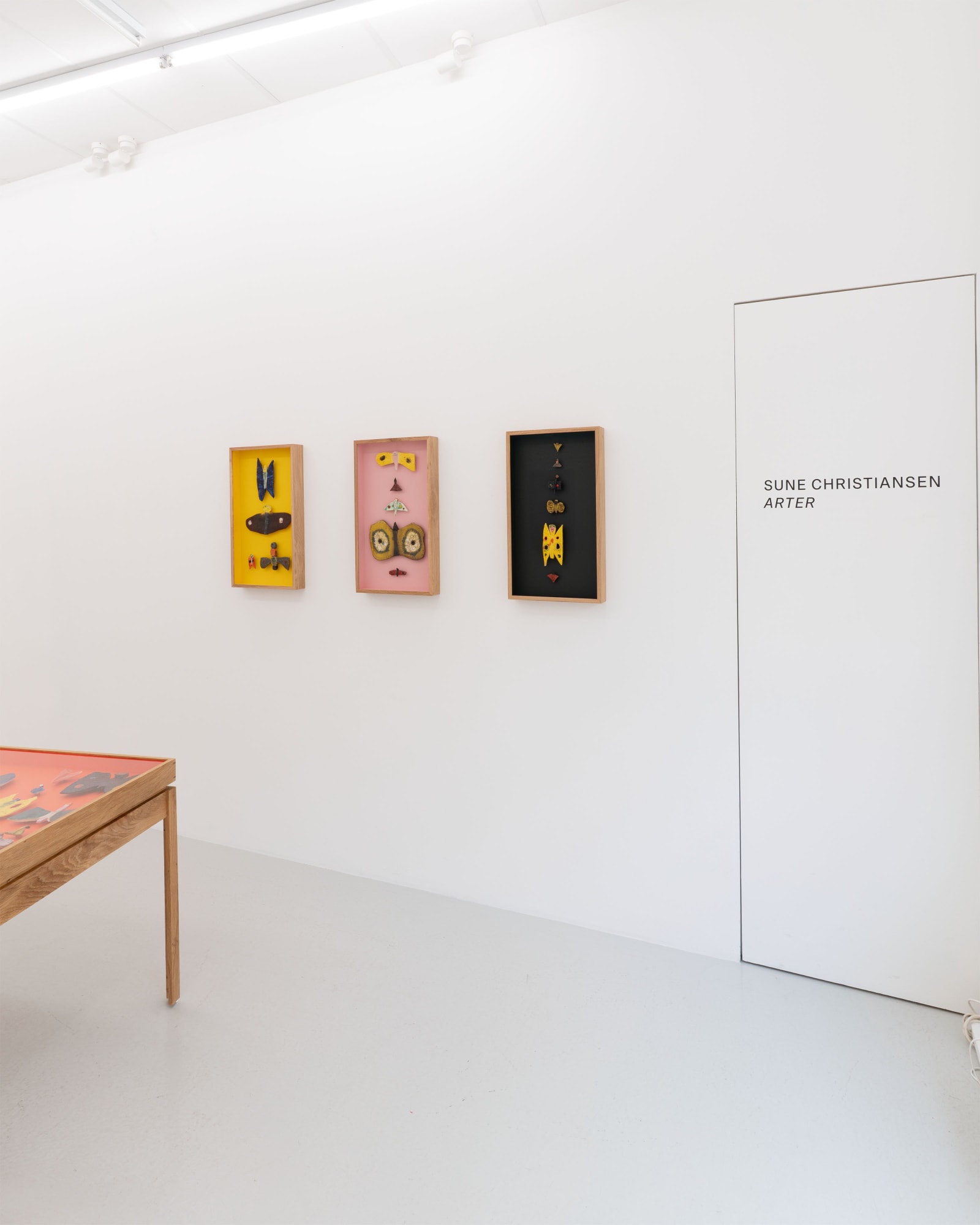 Sune Christiansen | Arter