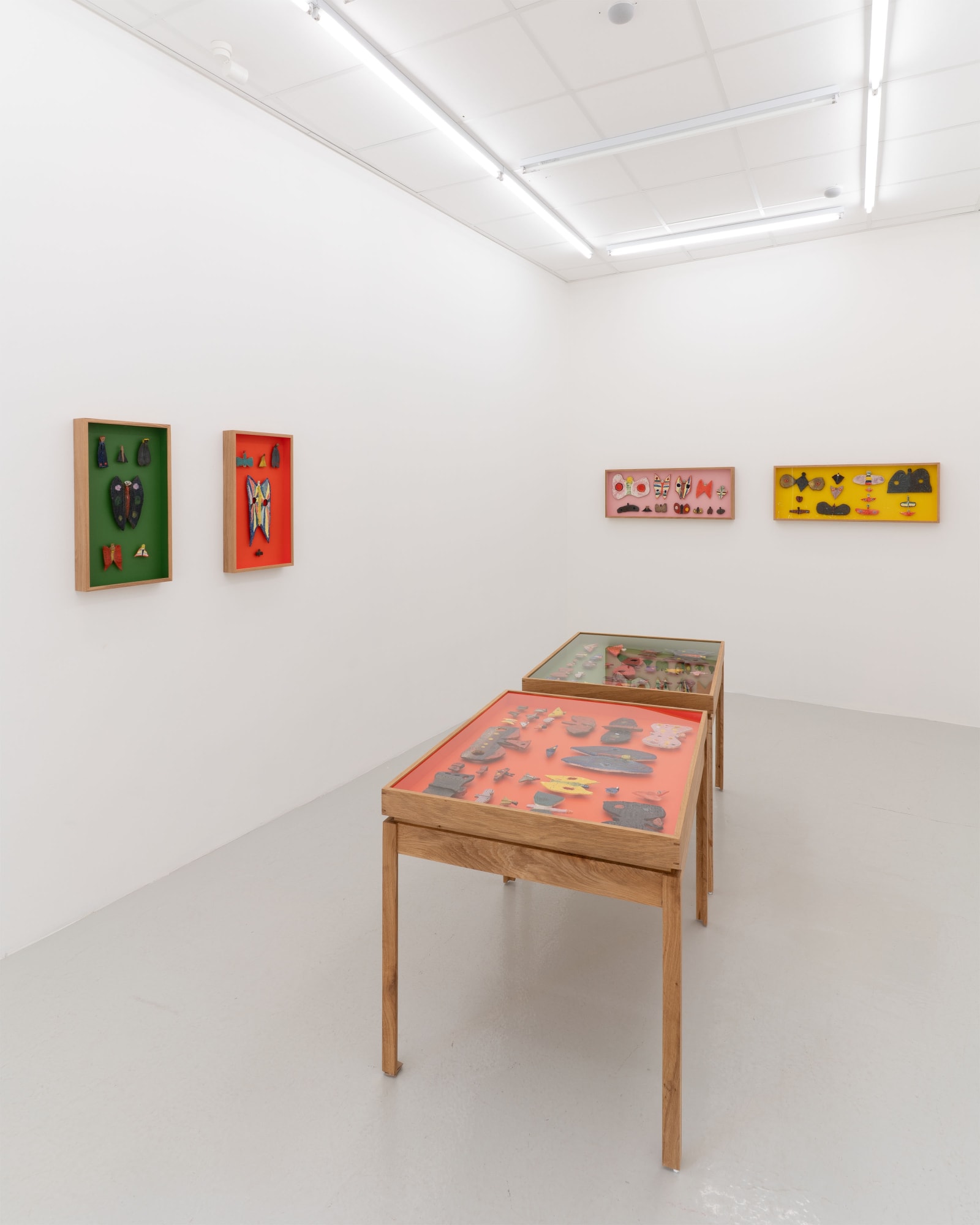 Sune Christiansen | Arter