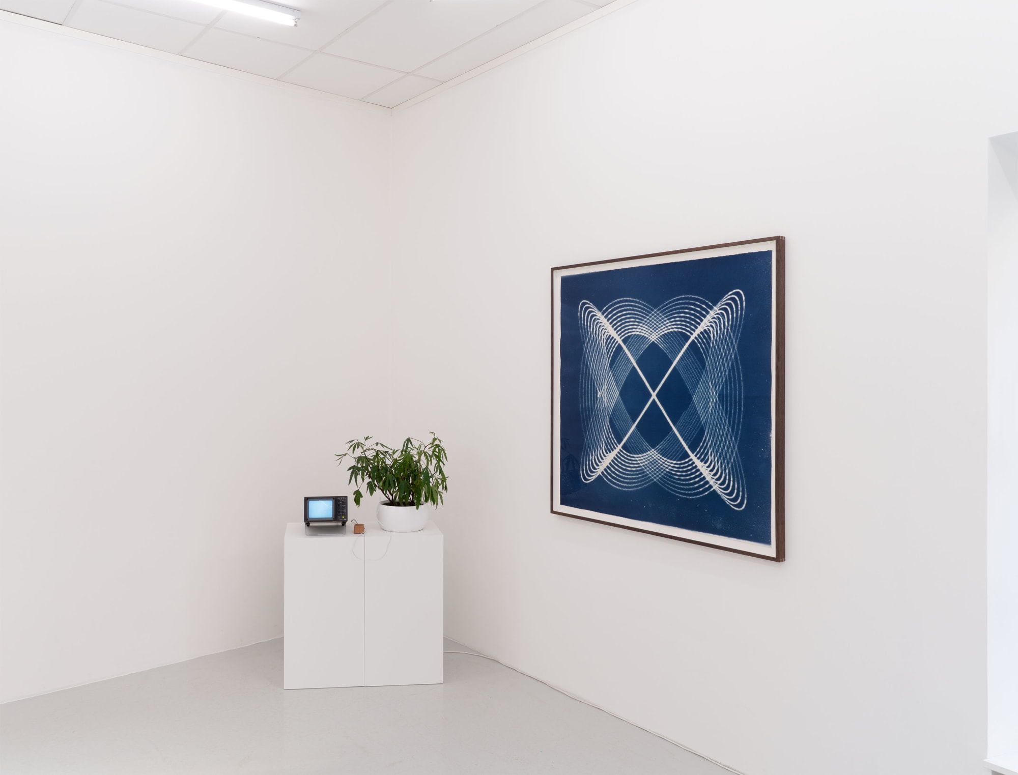 Louise Foo | Atlantis Anew