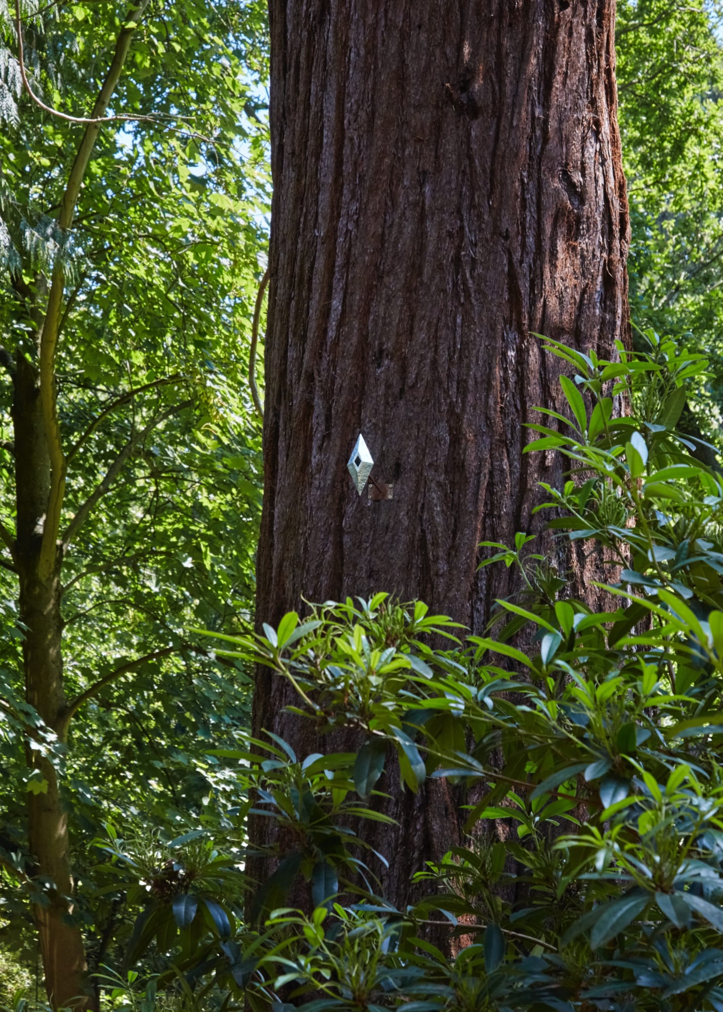 Victor Seaward, Diamond Nest, 2020