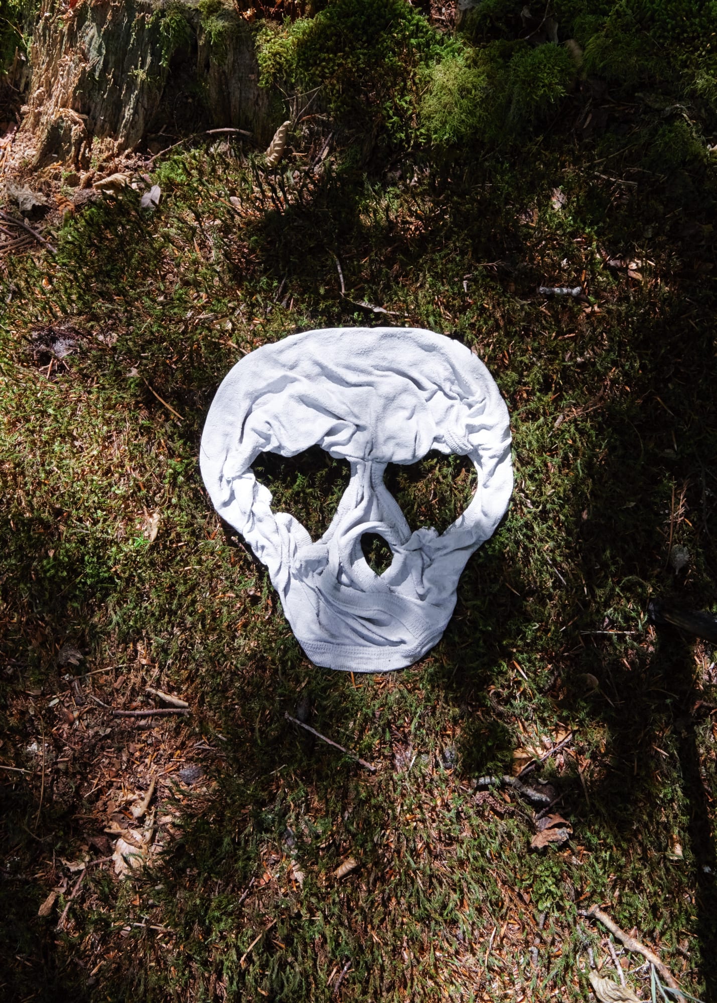 Leo Fitzmaurice, Stiff, 2020