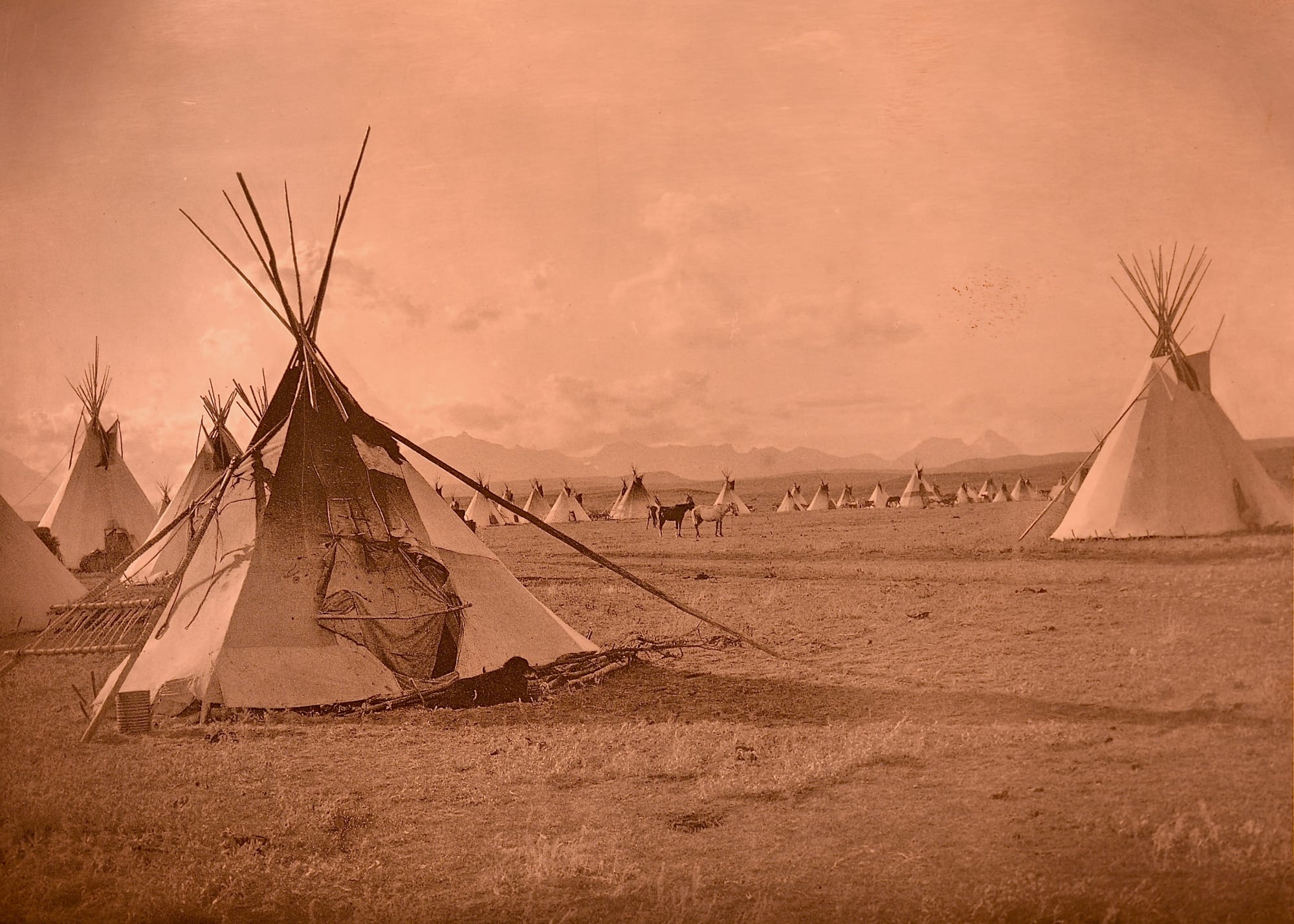 EXPERTS IN VINTAGE ORIGINAL EDWARD S. CURTIS