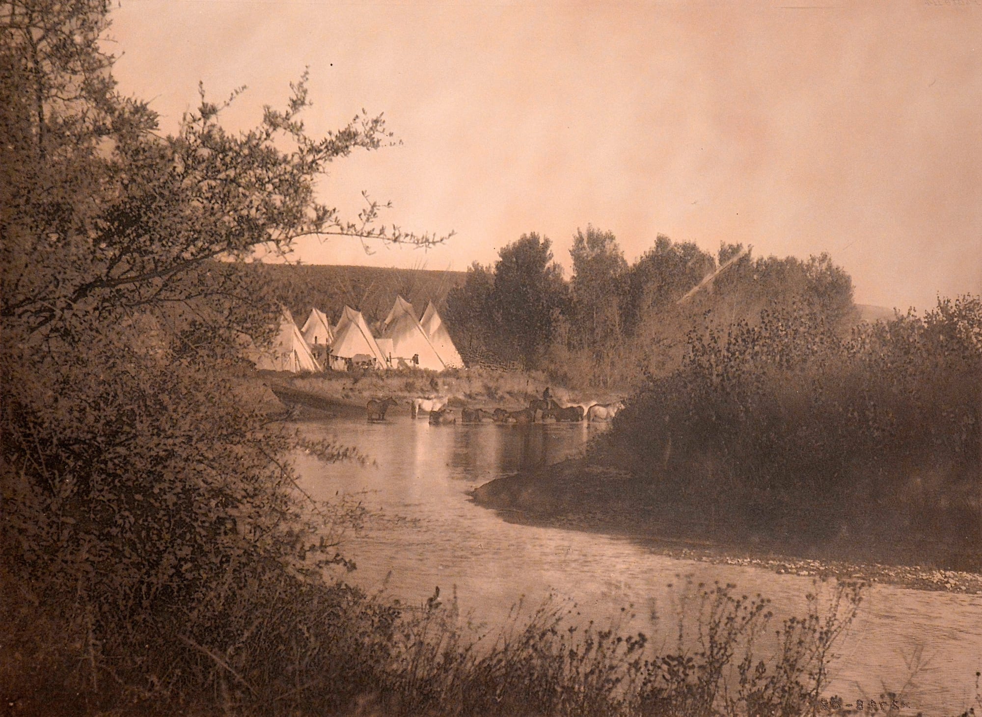 EXPERTS IN VINTAGE ORIGINAL EDWARD S. CURTIS