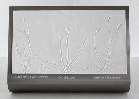 Anna Mlasowsky, Domestic Wildlife II, 2014