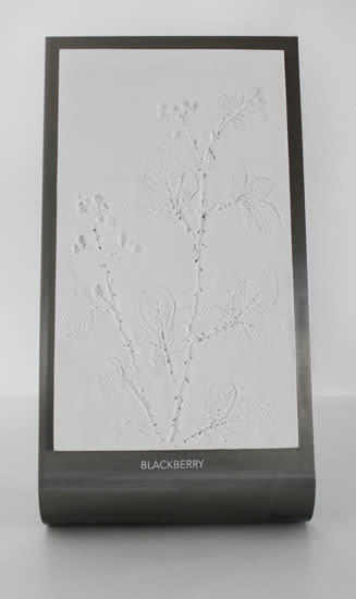 Anna Mlasowsky, Domestic Wildlife IV, 2014