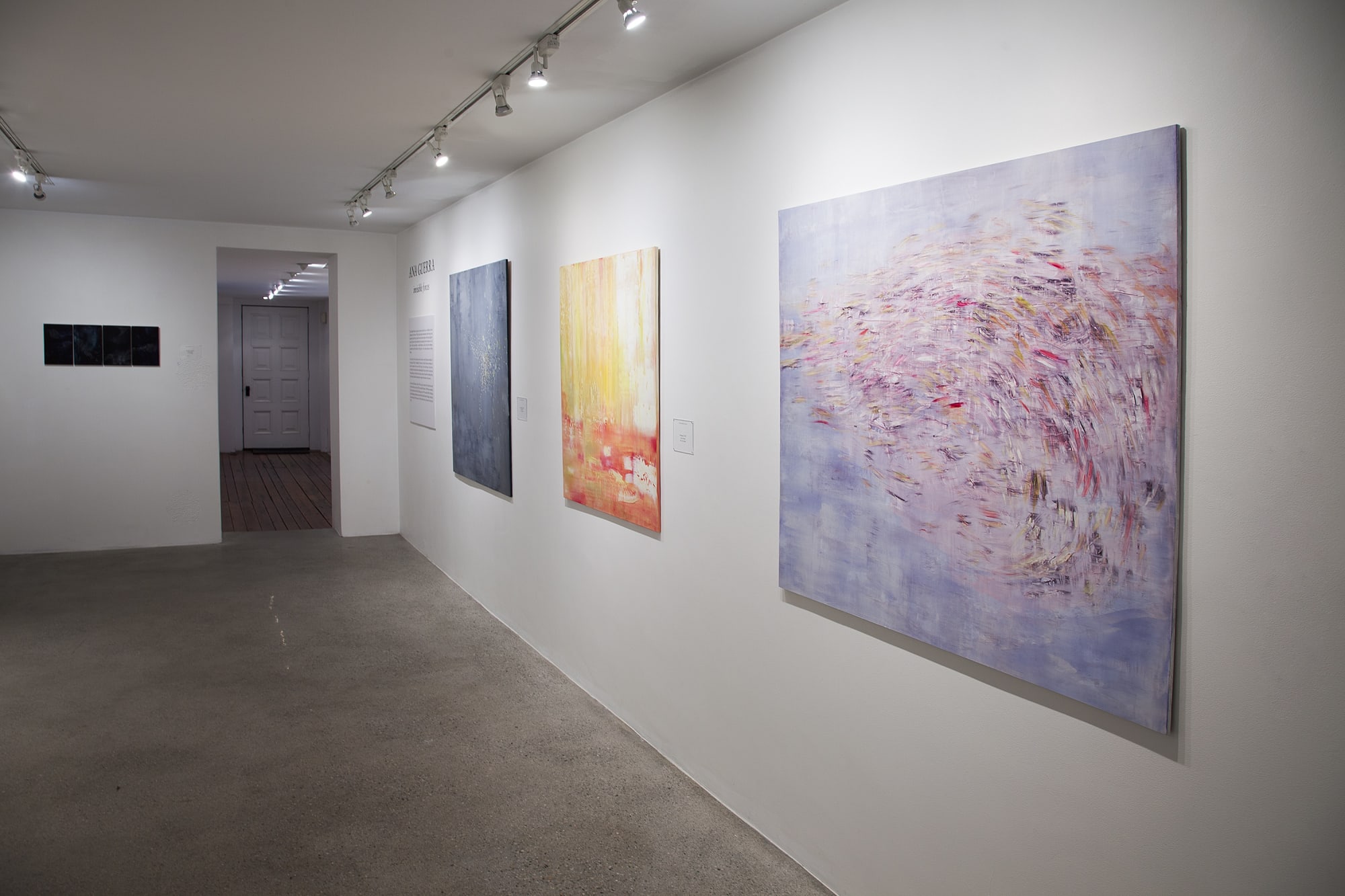Ana Guerra Installation View, Cade Tompkins Projects