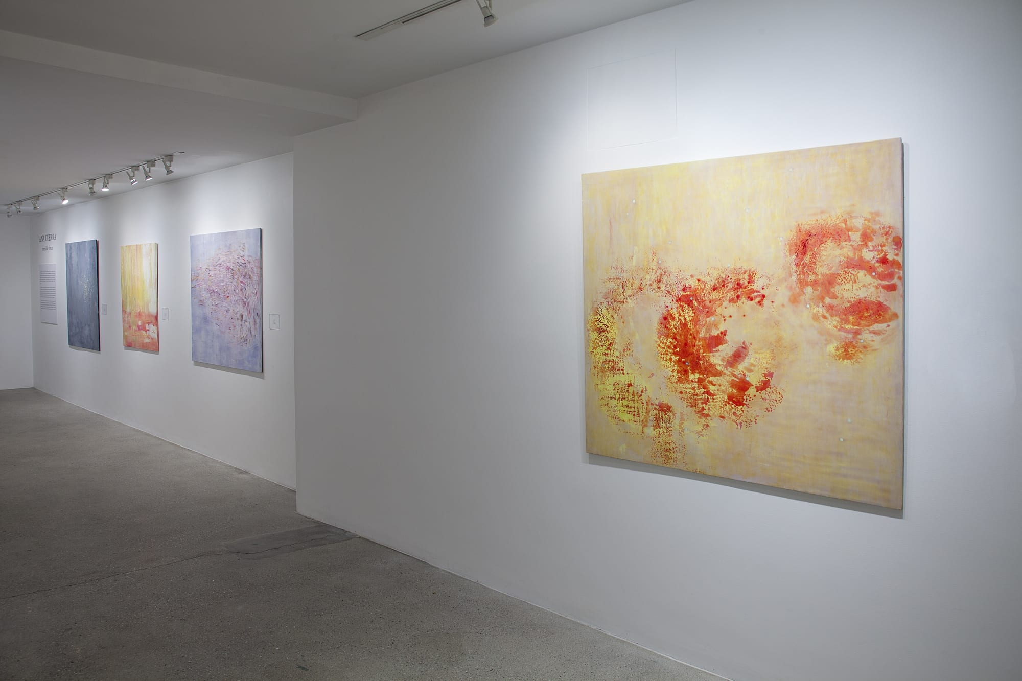Ana Guerra Installation View, Cade Tompkins Projects