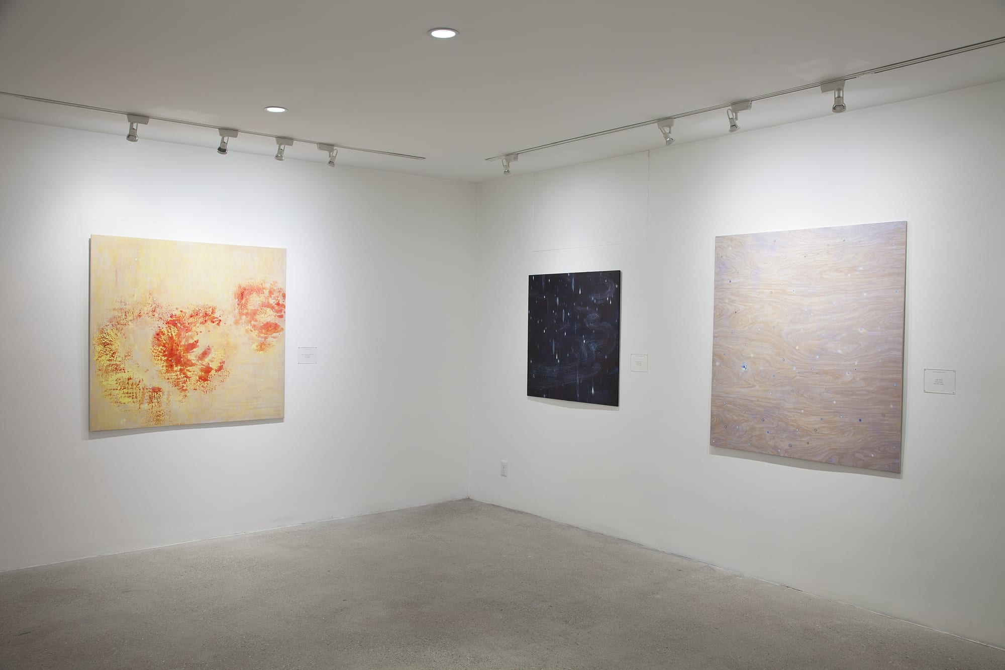 Ana Guerra Installation View, Cade Tompkins Projects