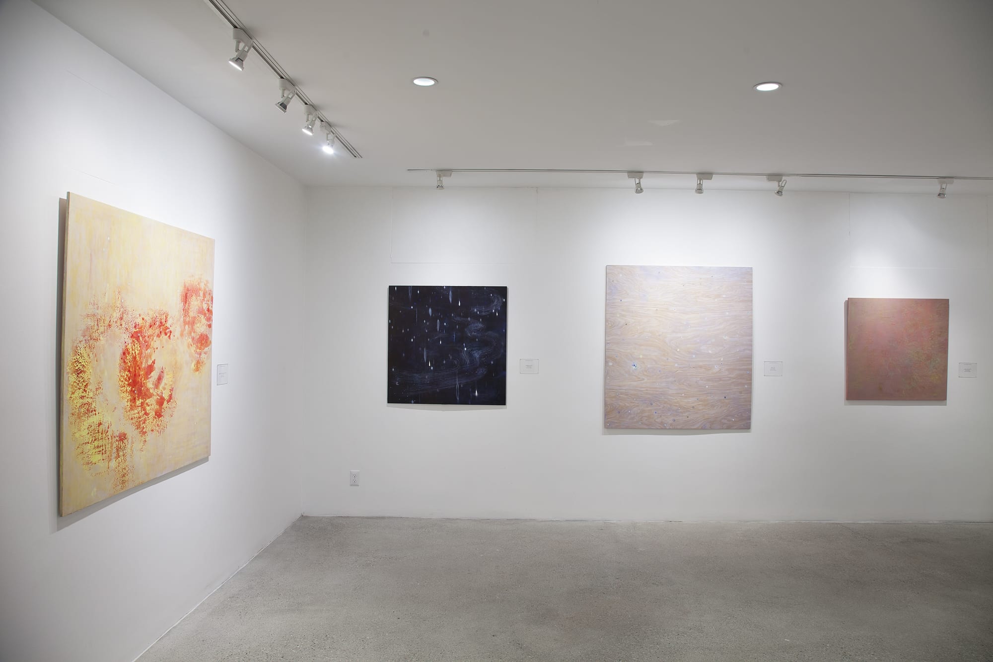 Ana Guerra Installation View, Cade Tompkins Projects
