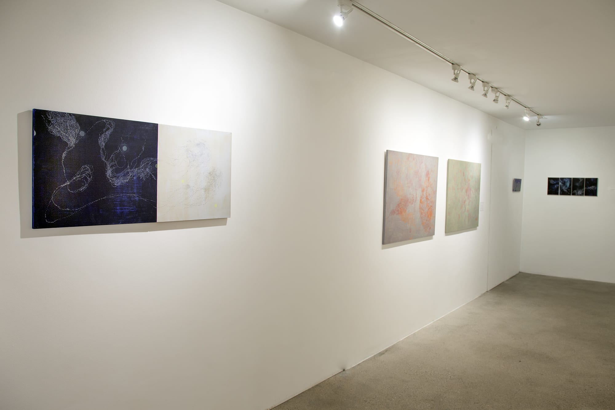 Ana Guerra Installation View, Cade Tompkins Projects