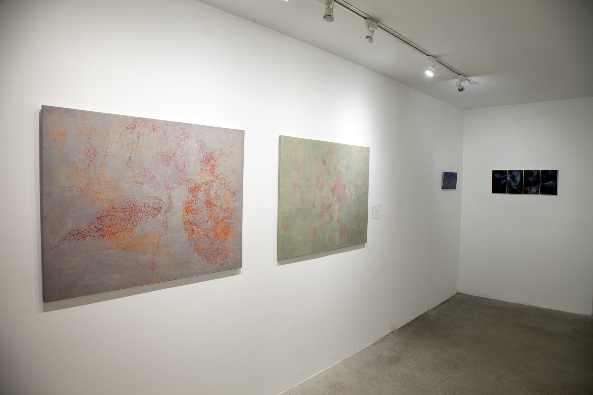 Ana Guerra Installation View, Cade Tompkins Projects