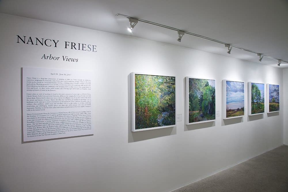 Nancy Friese Installation View, Cade Tompkins Projects