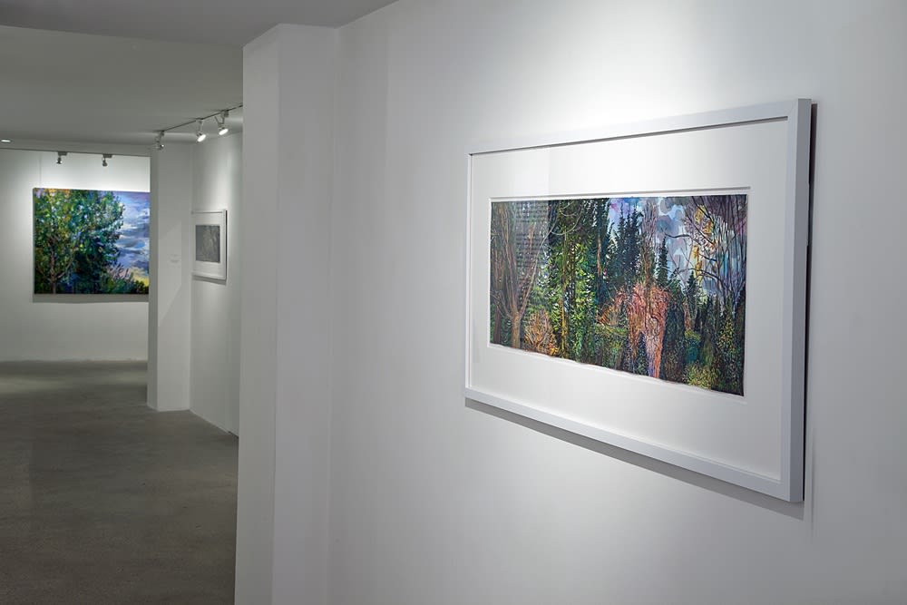 Nancy Friese Installation View, Cade Tompkins Projects