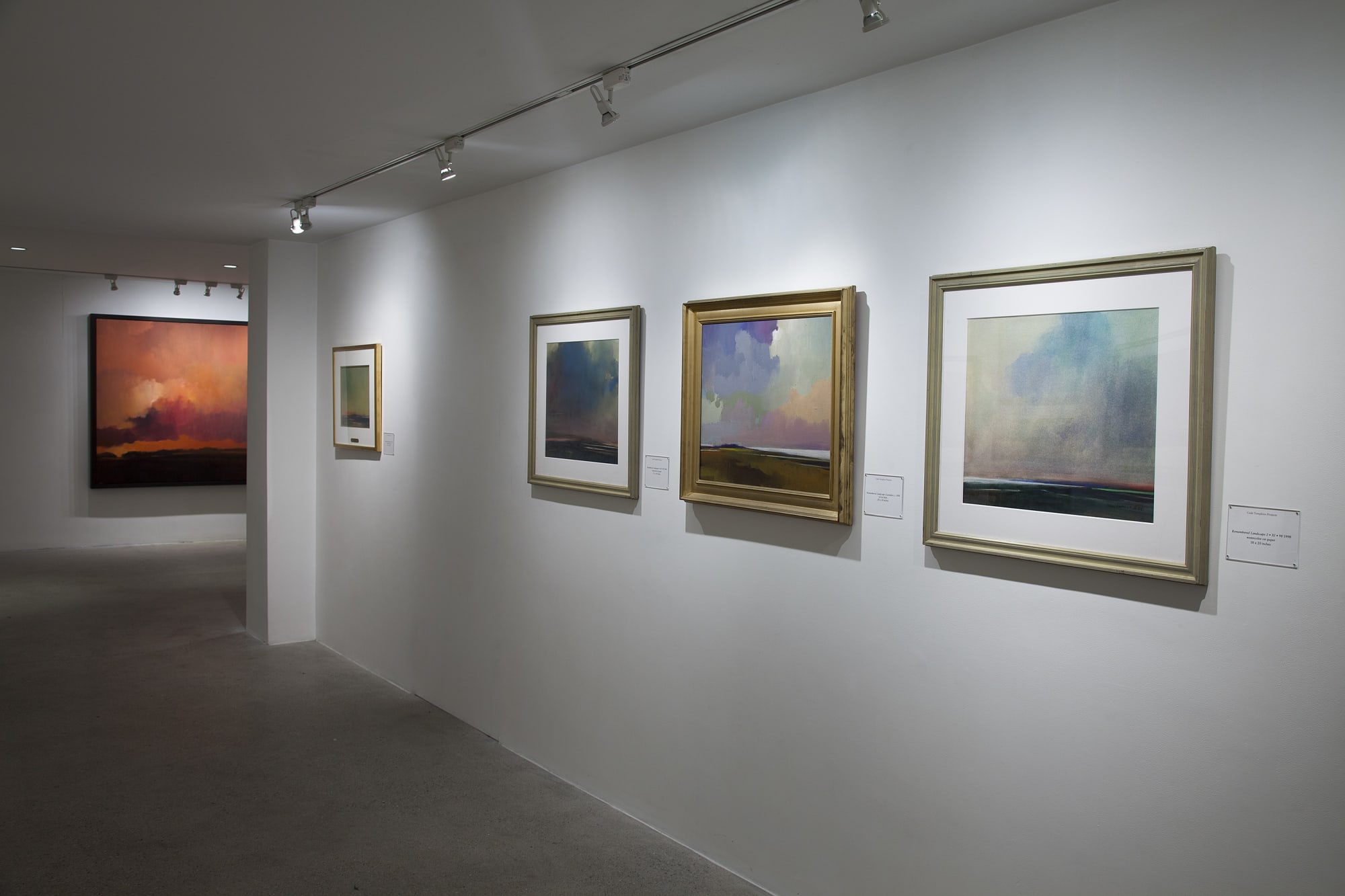 Thomas Sgouros Installation View, Cade Tompkins Projects