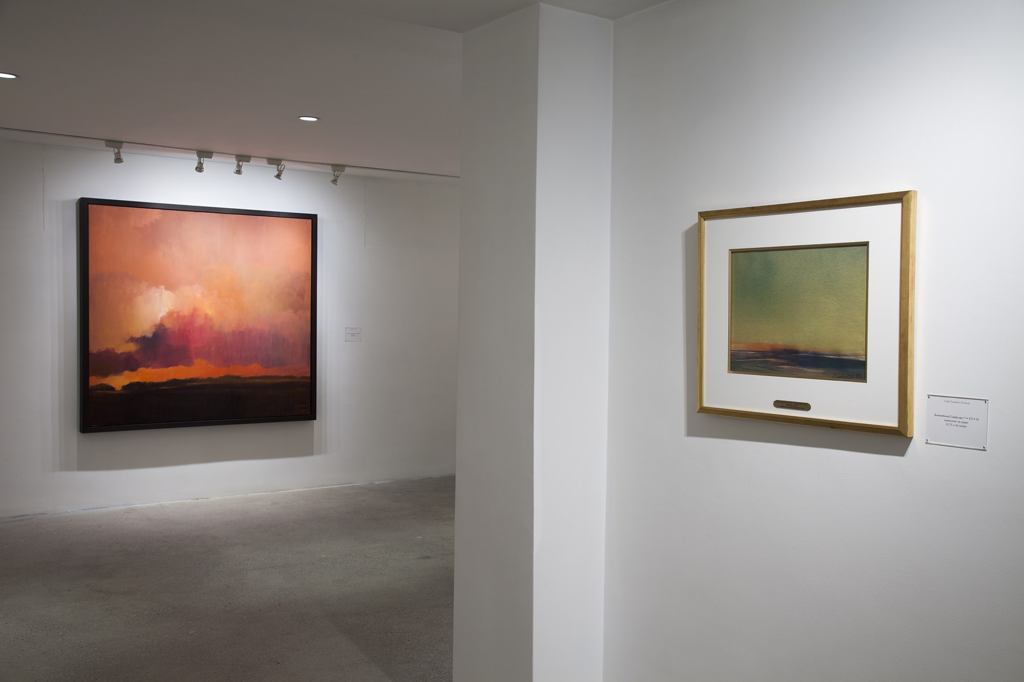 Thomas Sgouros Installation View, Cade Tompkins Projects