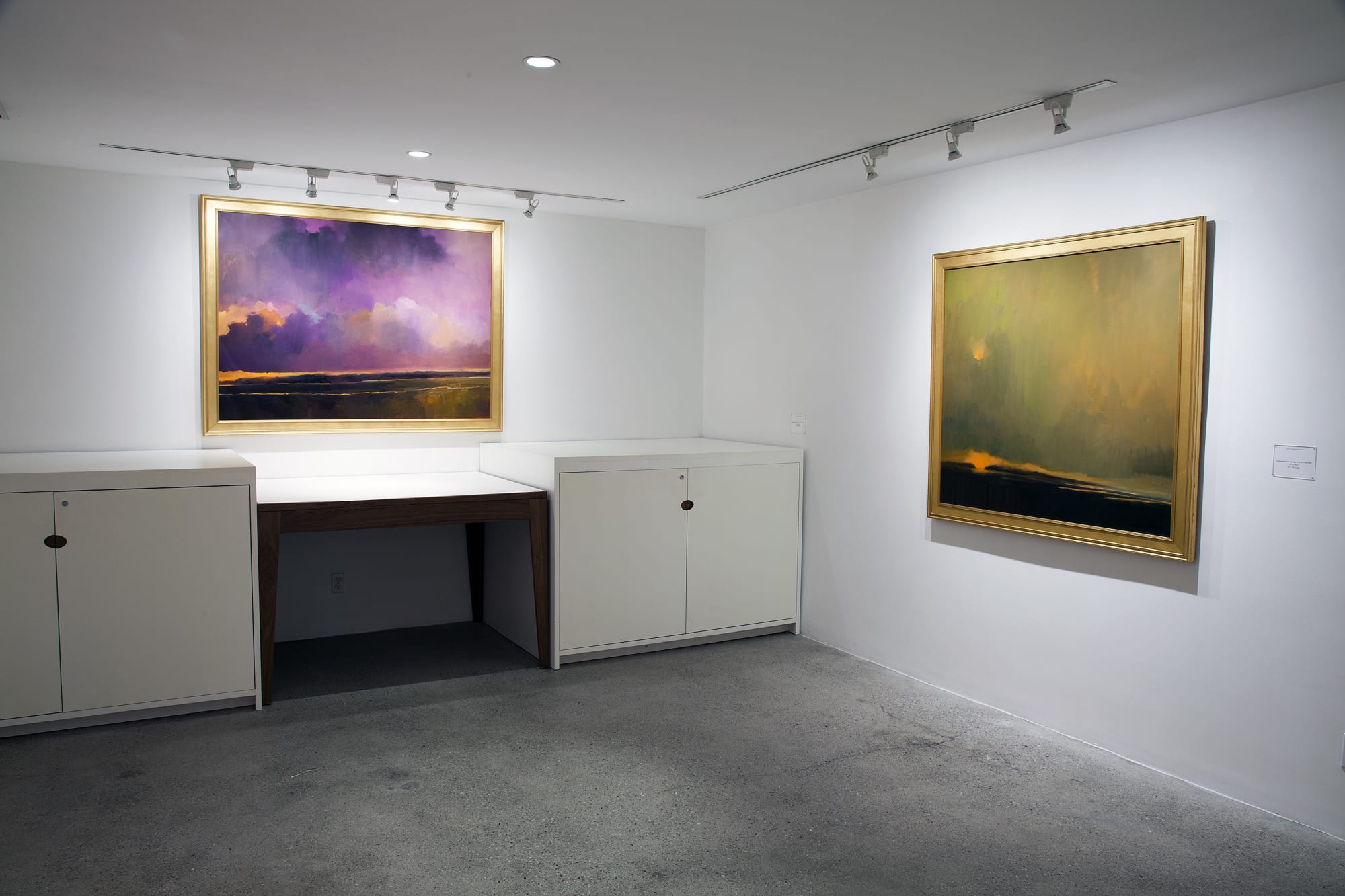 Thomas Sgouros Installation View, Cade Tompkins Projects