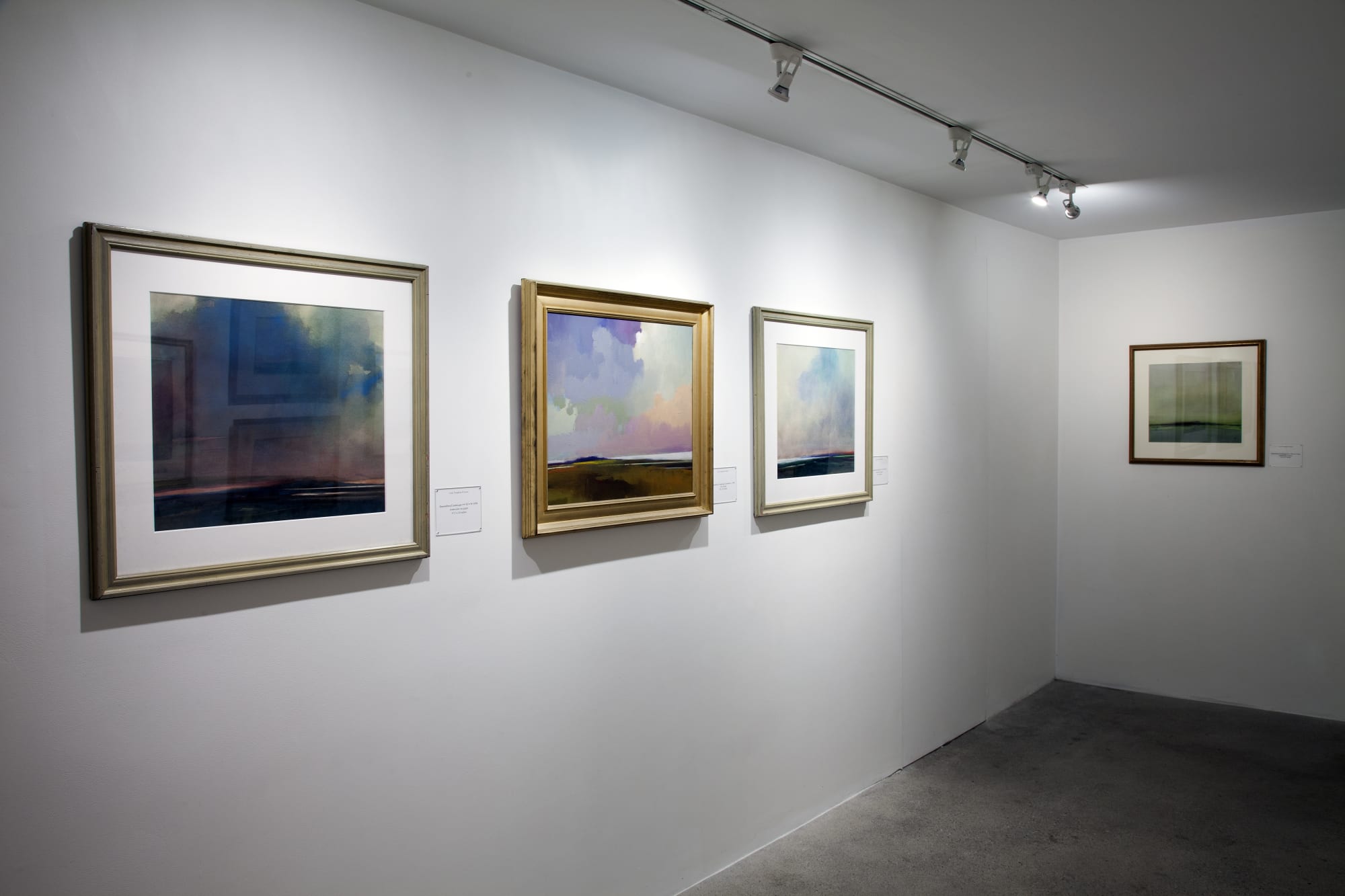 Thomas Sgouros Installation View, Cade Tompkins Projects