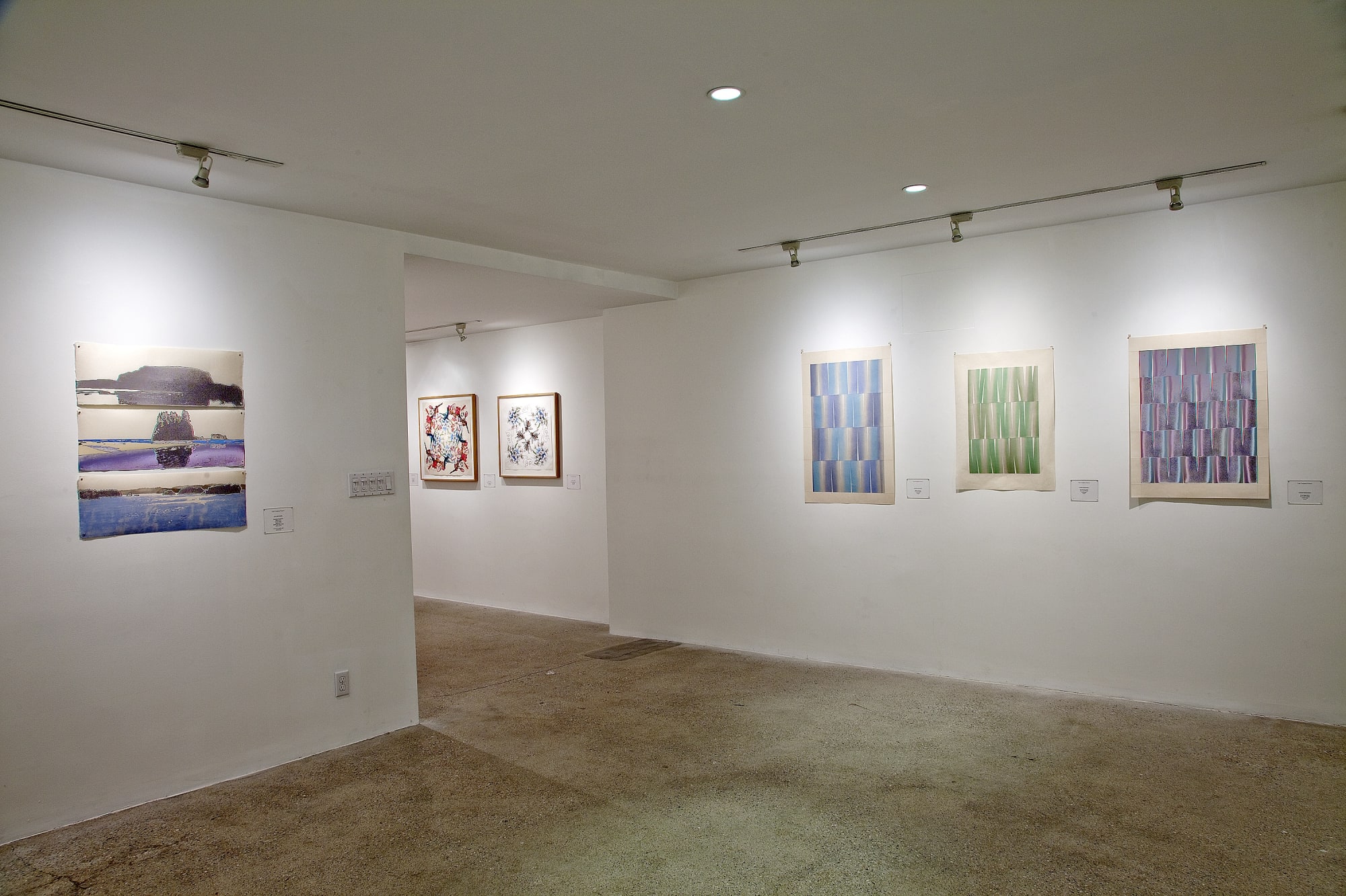 Contemporary Mokuhanga Installation View, Cade Tompkins Projects