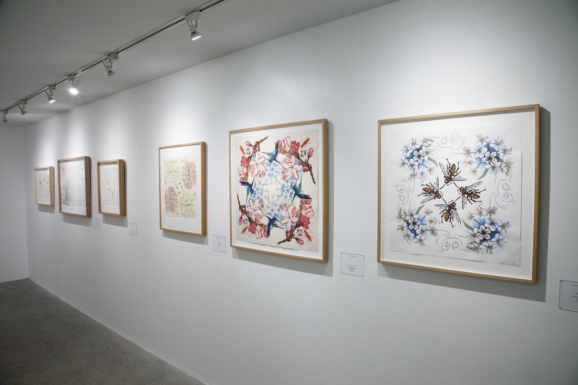 Contemporary Mokuhanga Installation View, Cade Tompkins Projects