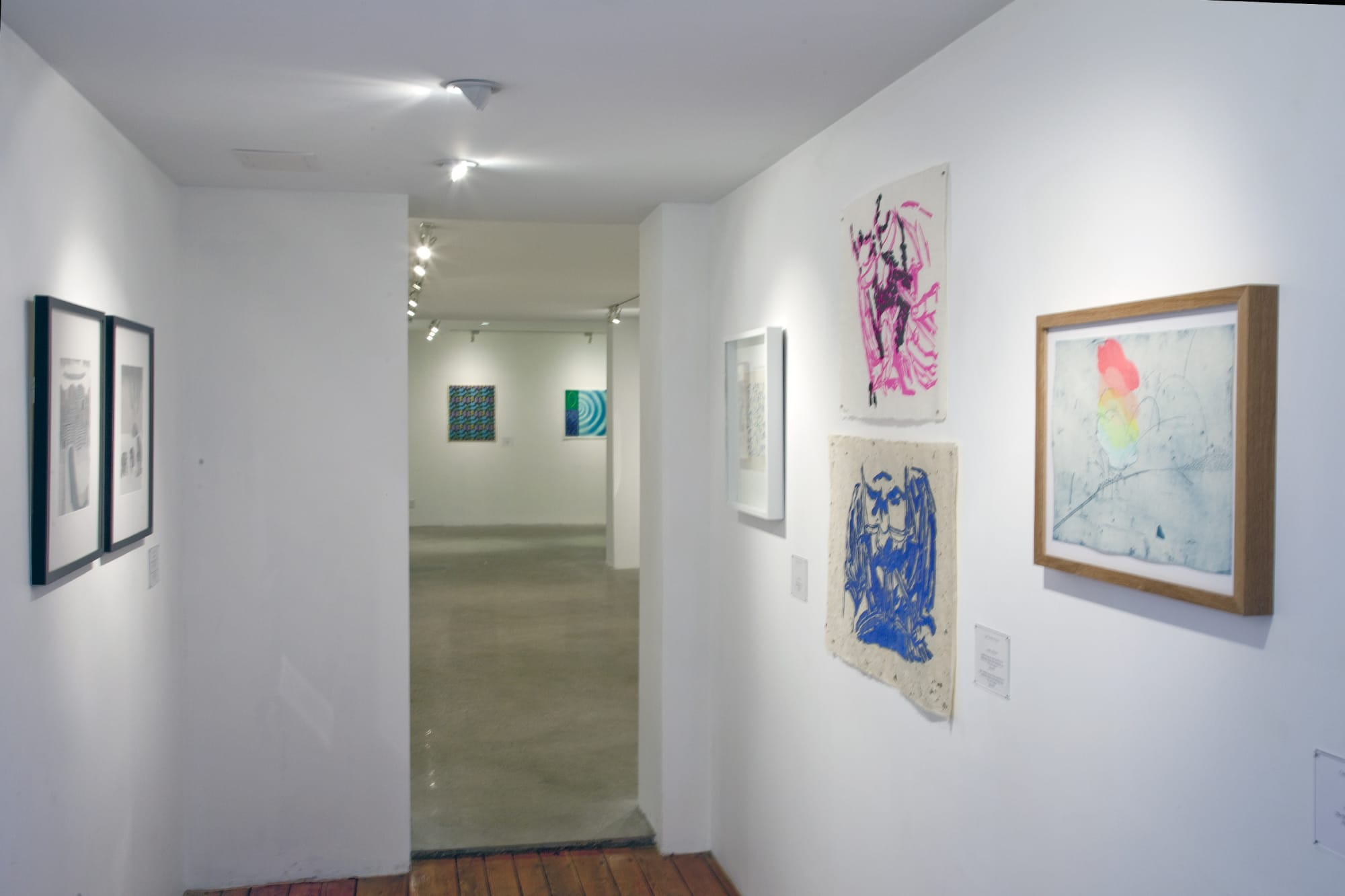 Contemporary Mokuhanga Installation View, Cade Tompkins Projects