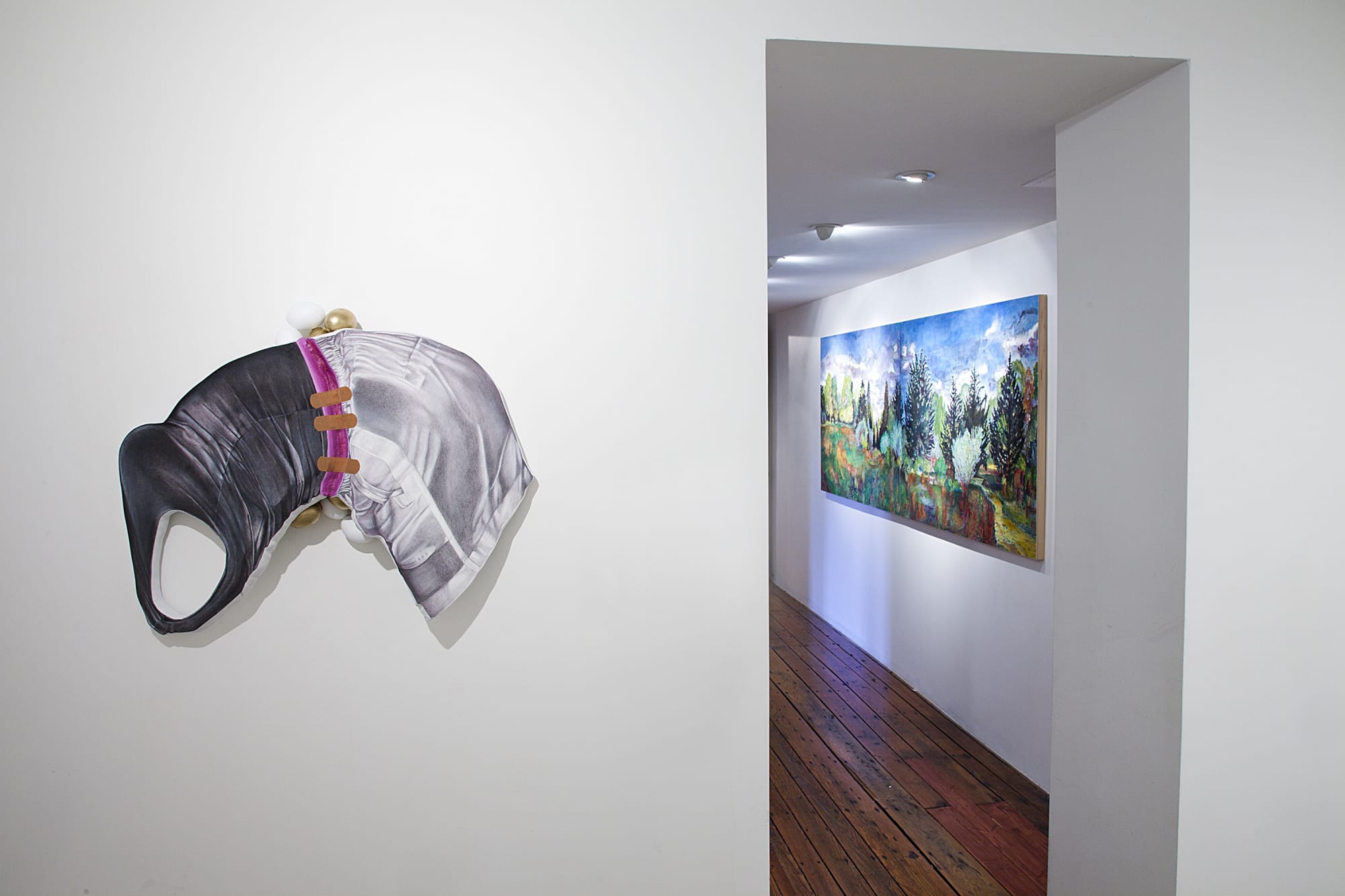 Sophiya Khwaja Installation View, Cade Tompkins Projects