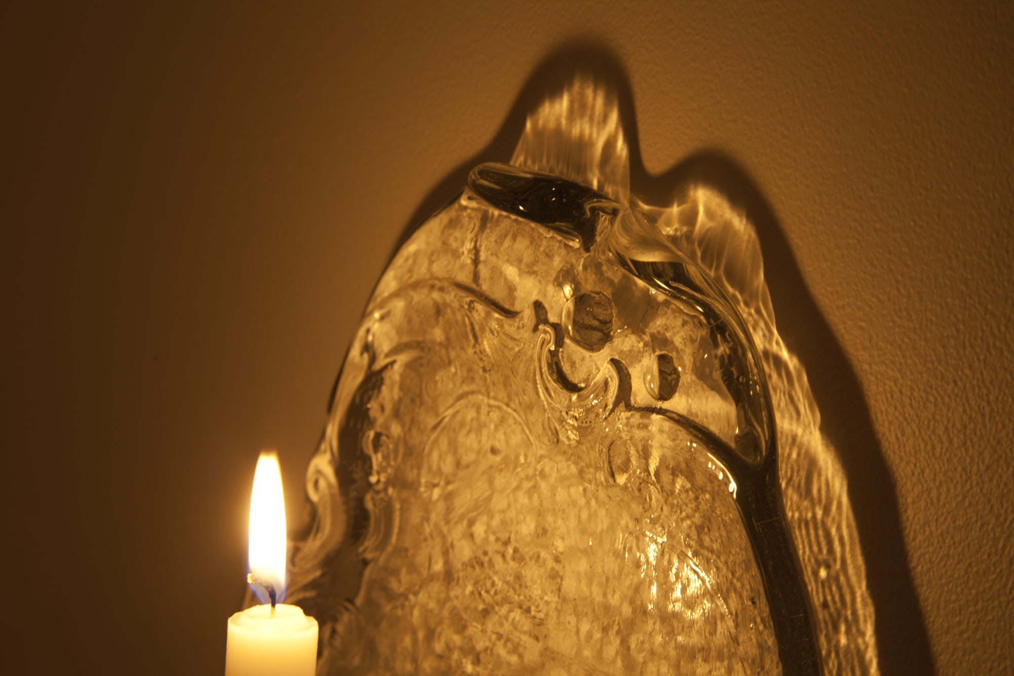 Aaron Pexa Installation View, Cade Tompkins Projects