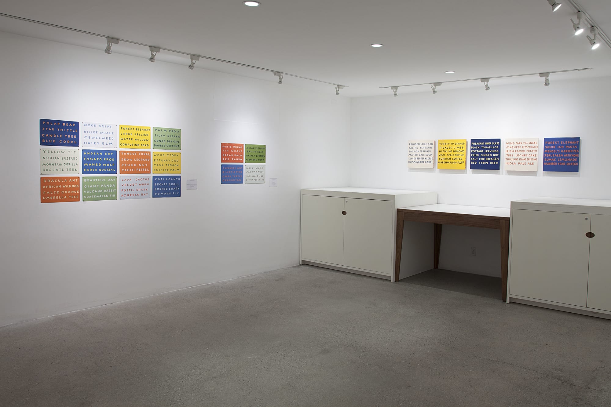 William Allen Installation View, Cade Tompkins Projects