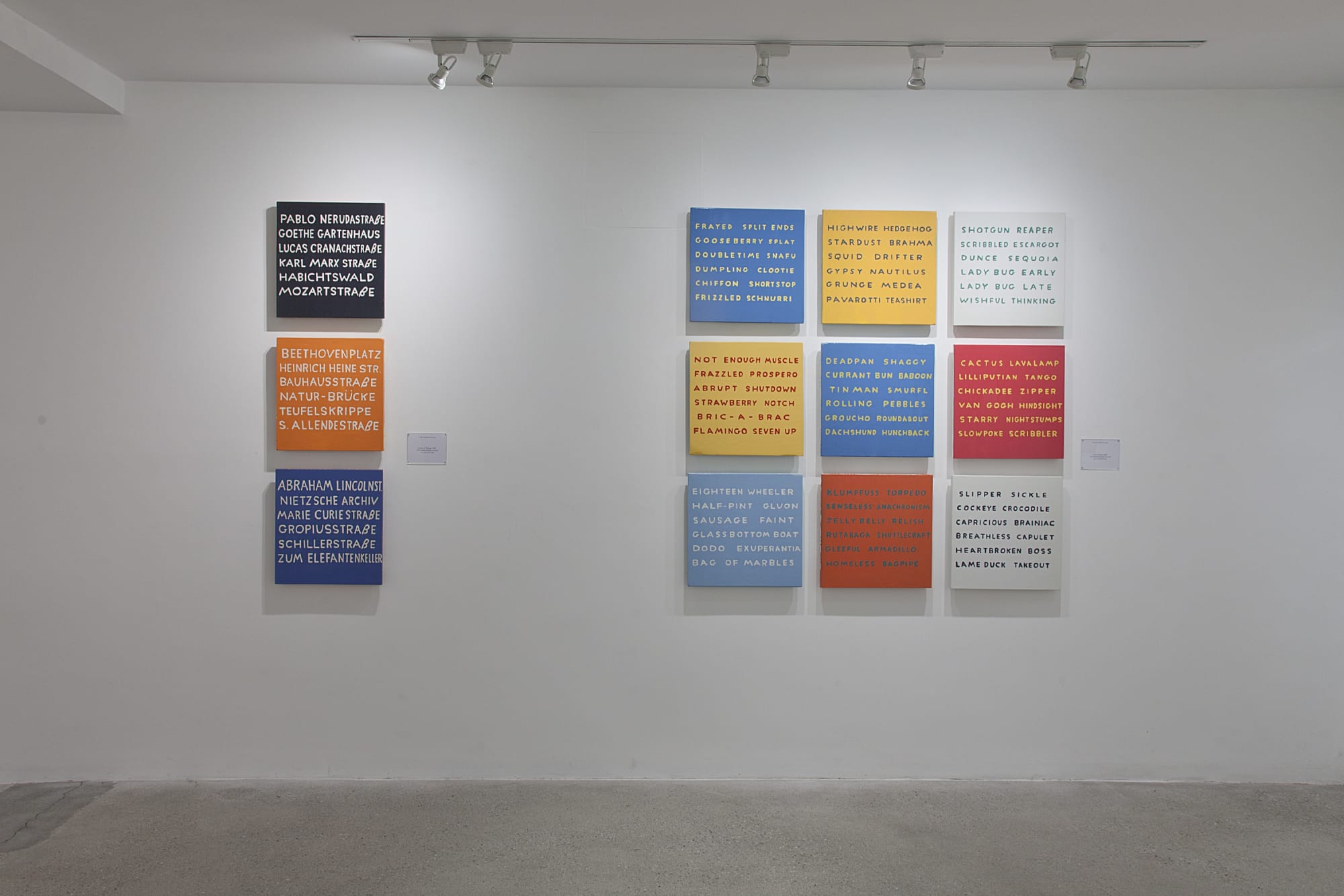 William Allen Installation View, Cade Tompkins Projects