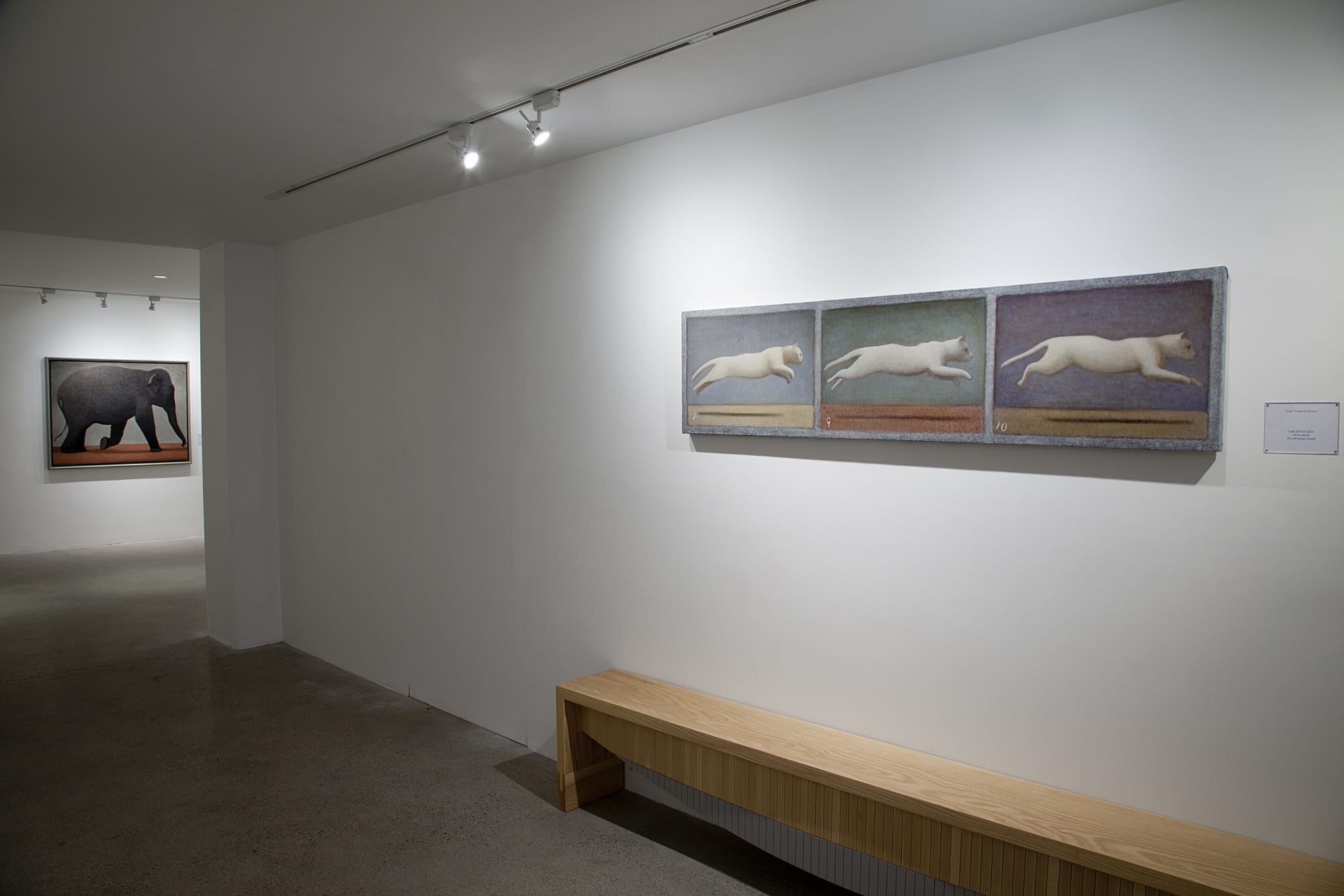 Andrew Nixon Installation View, Cade Tompkins Projects