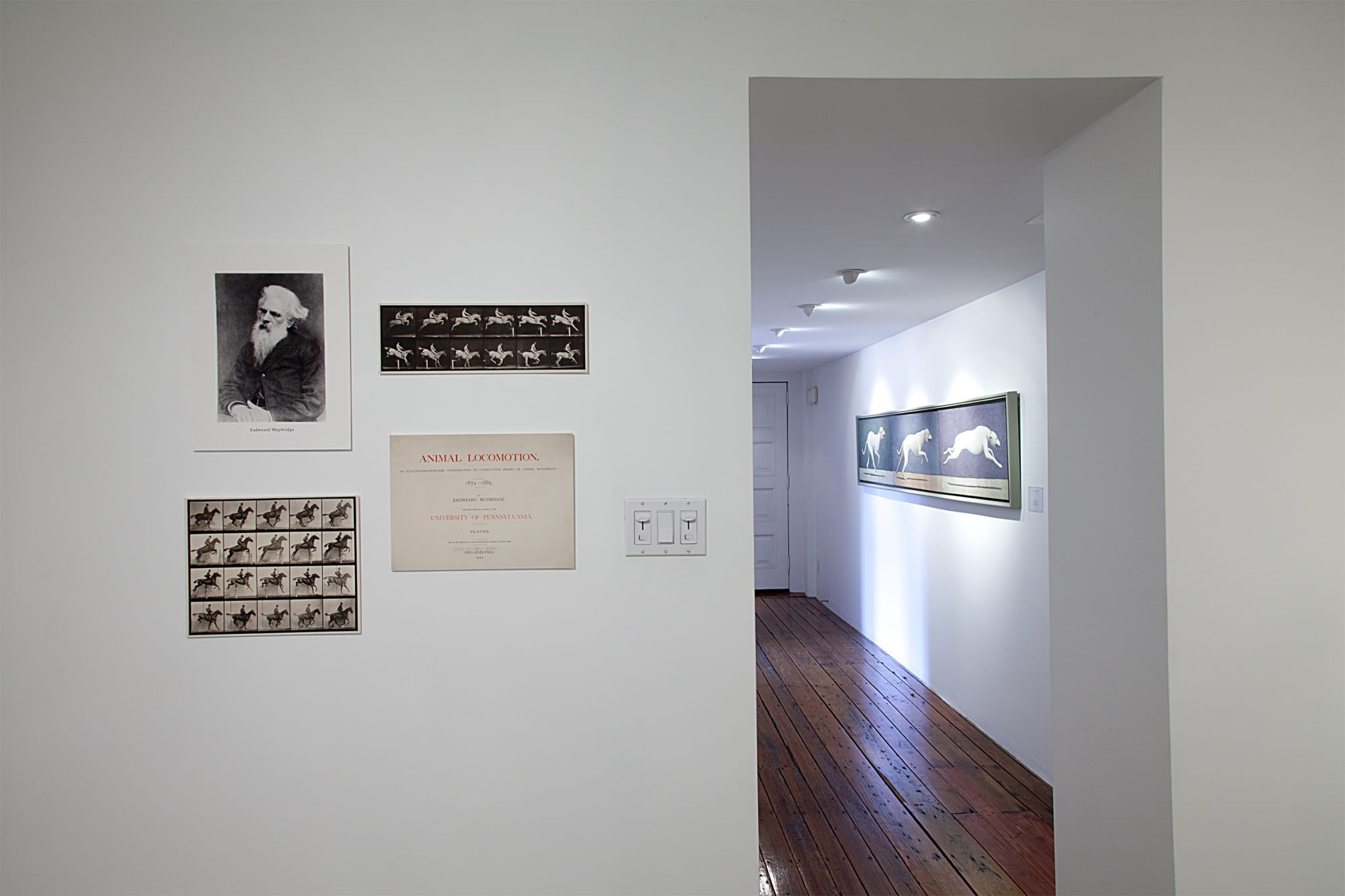 Andrew Nixon Installation View, Cade Tompkins Projects