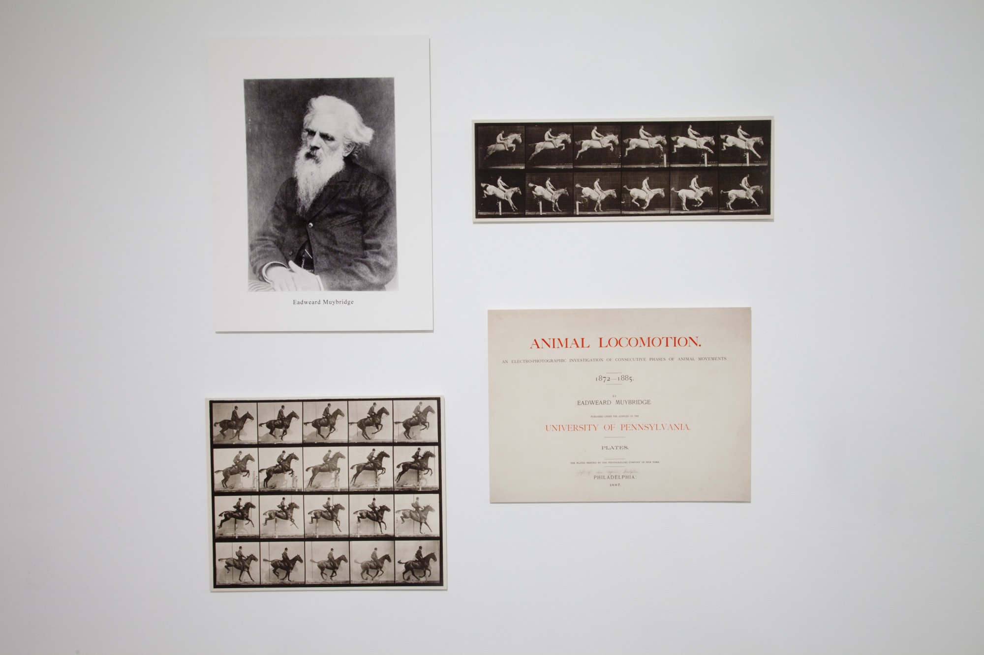 Andrew Nixon Installation View, Cade Tompkins Projects