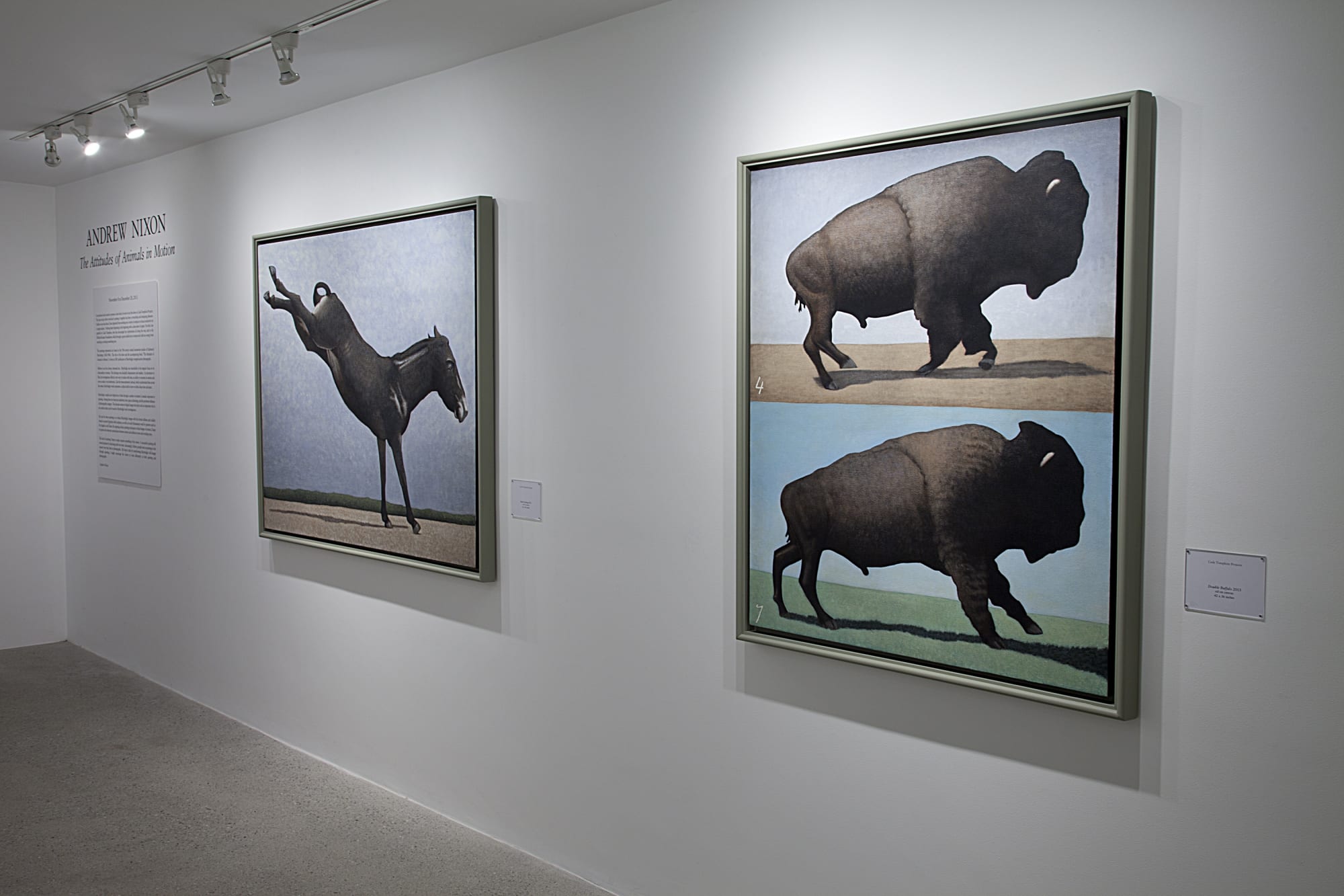 Andrew Nixon Installation View, Cade Tompkins Projects