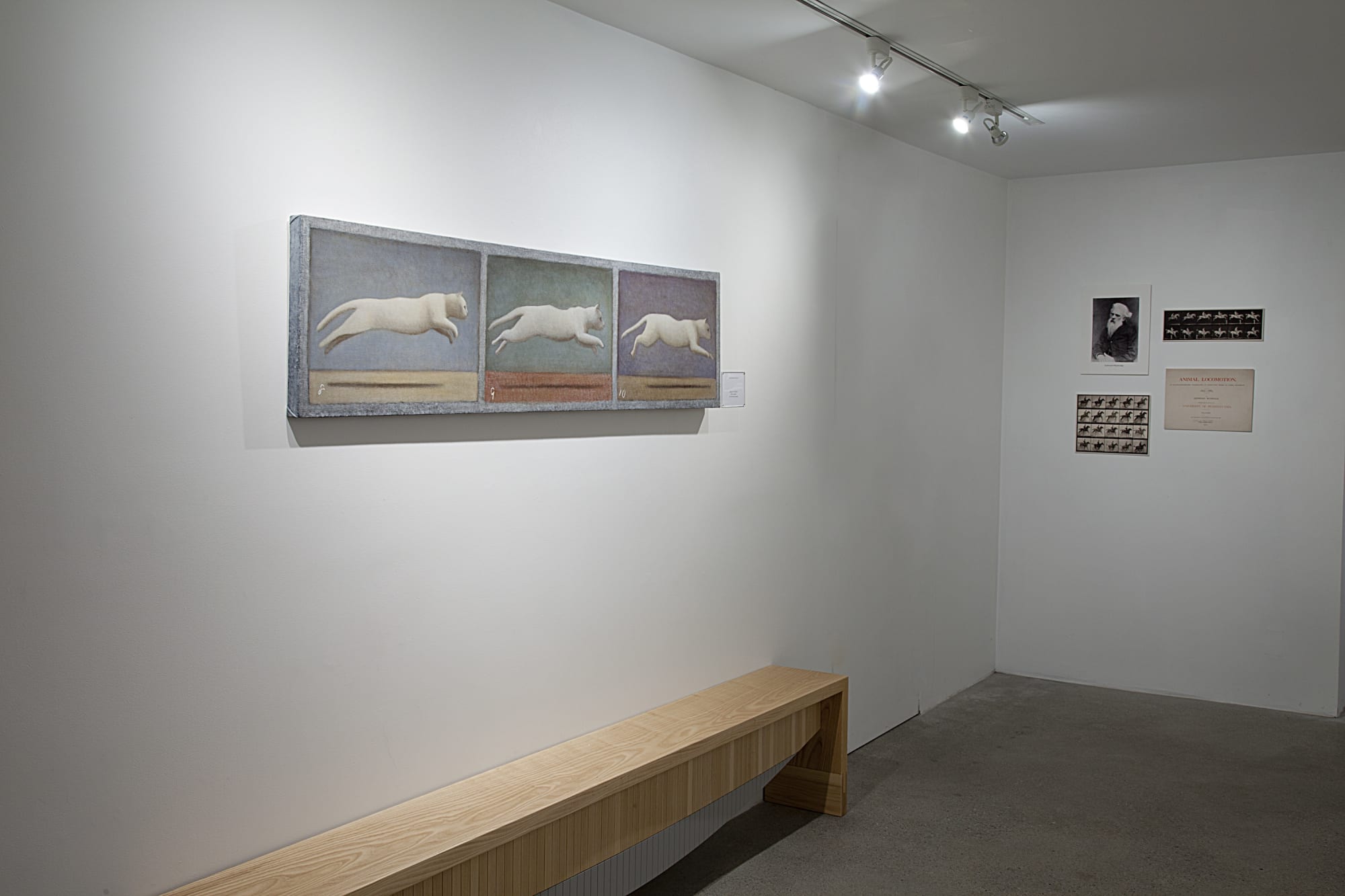 Andrew Nixon Installation View, Cade Tompkins Projects