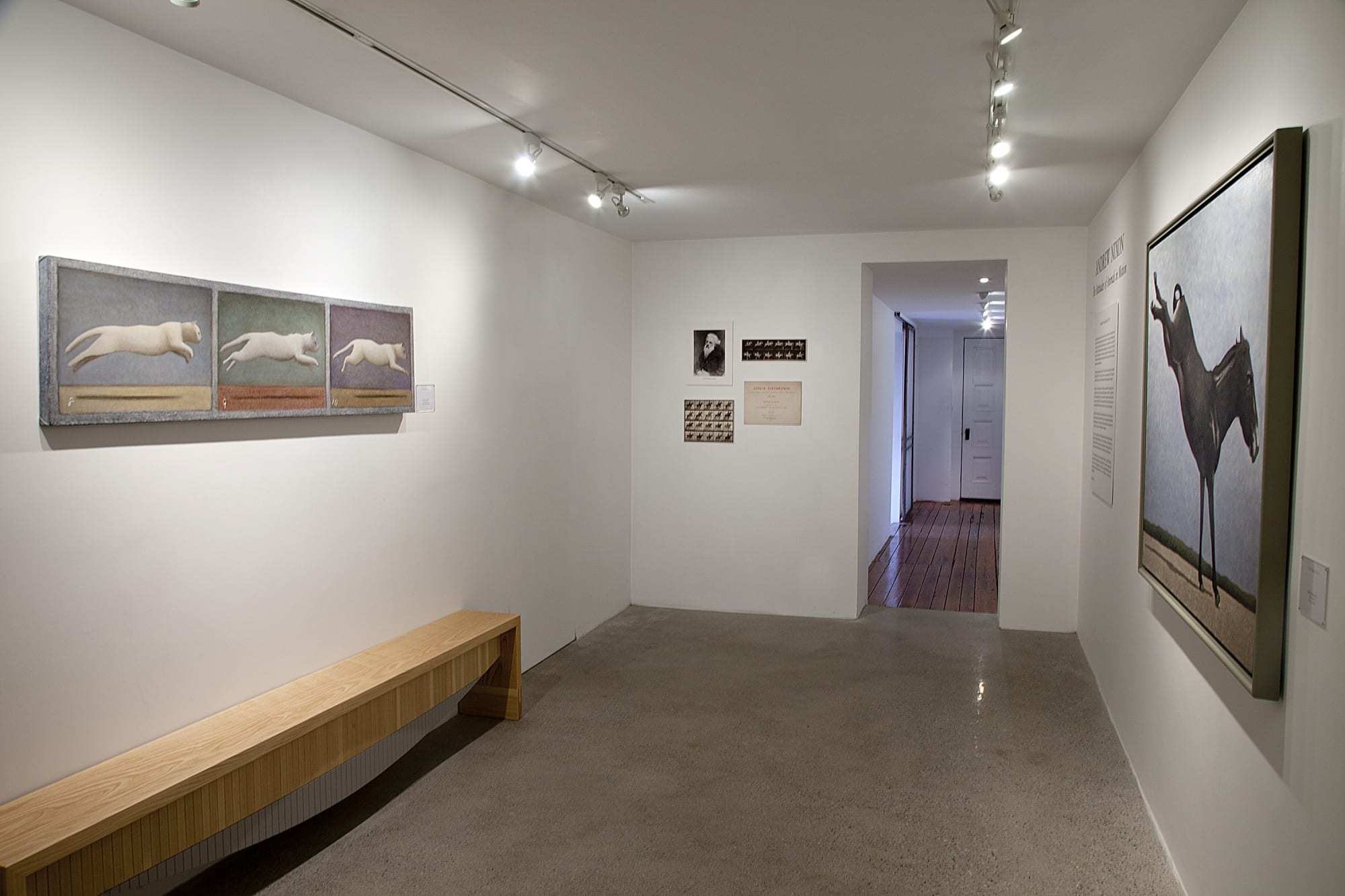 Andrew Nixon Installation View, Cade Tompkins Projects